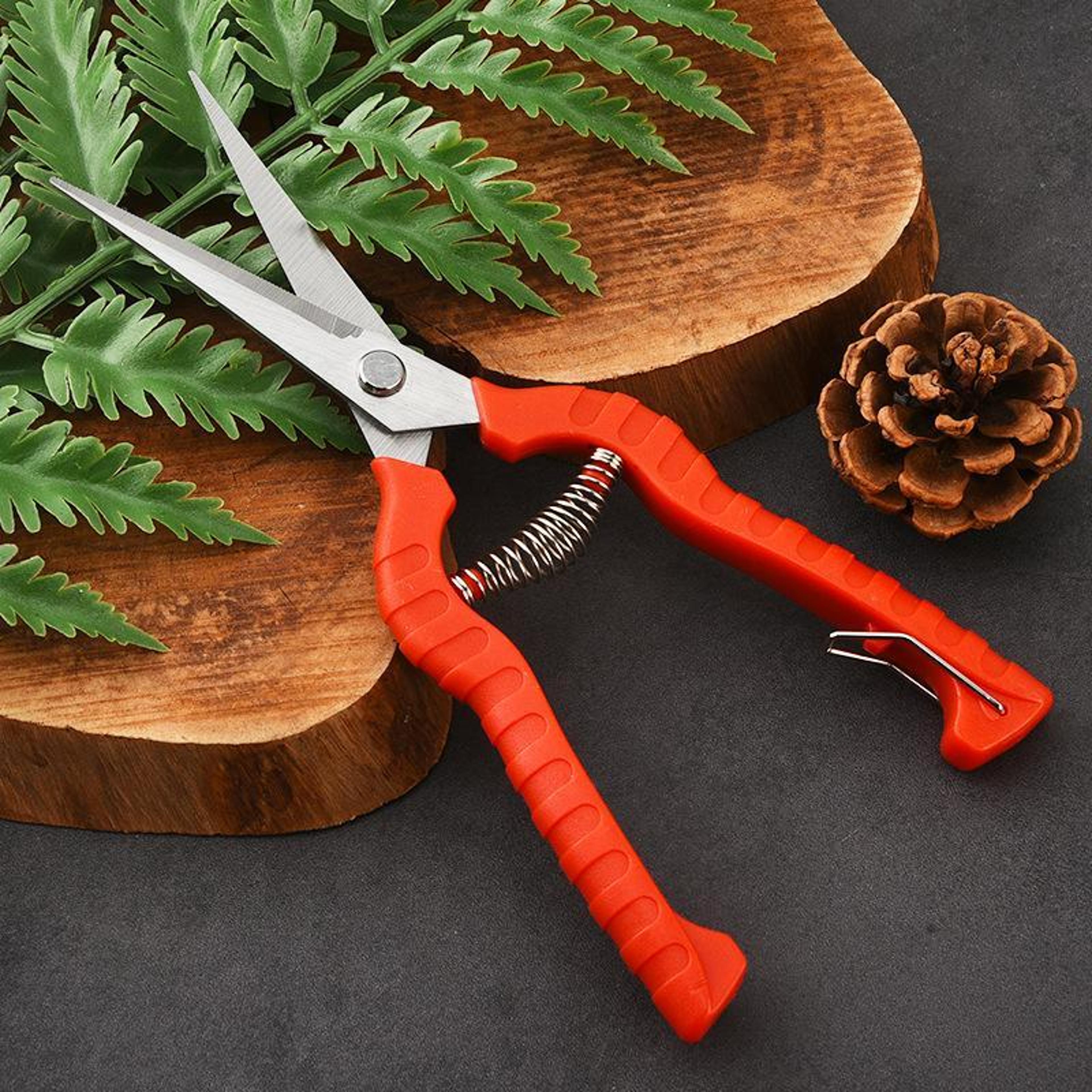 Precision Garden Pruning Shears With Stainless Steel Blades  Comfort Grip Handle 2