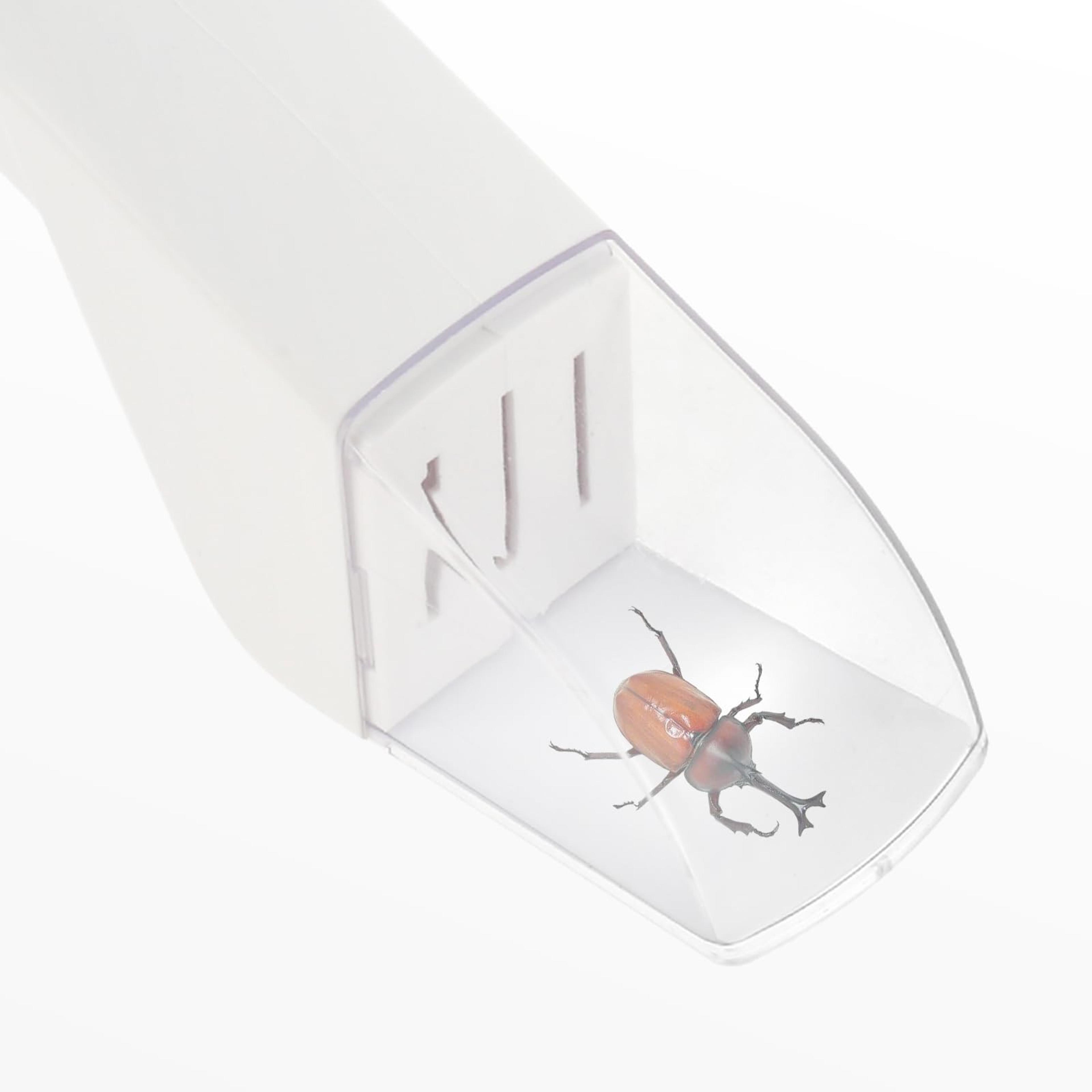 Nature View Bug Catcher For Kids Quick Release Insect Catching Tool With Clear Observation Window 2