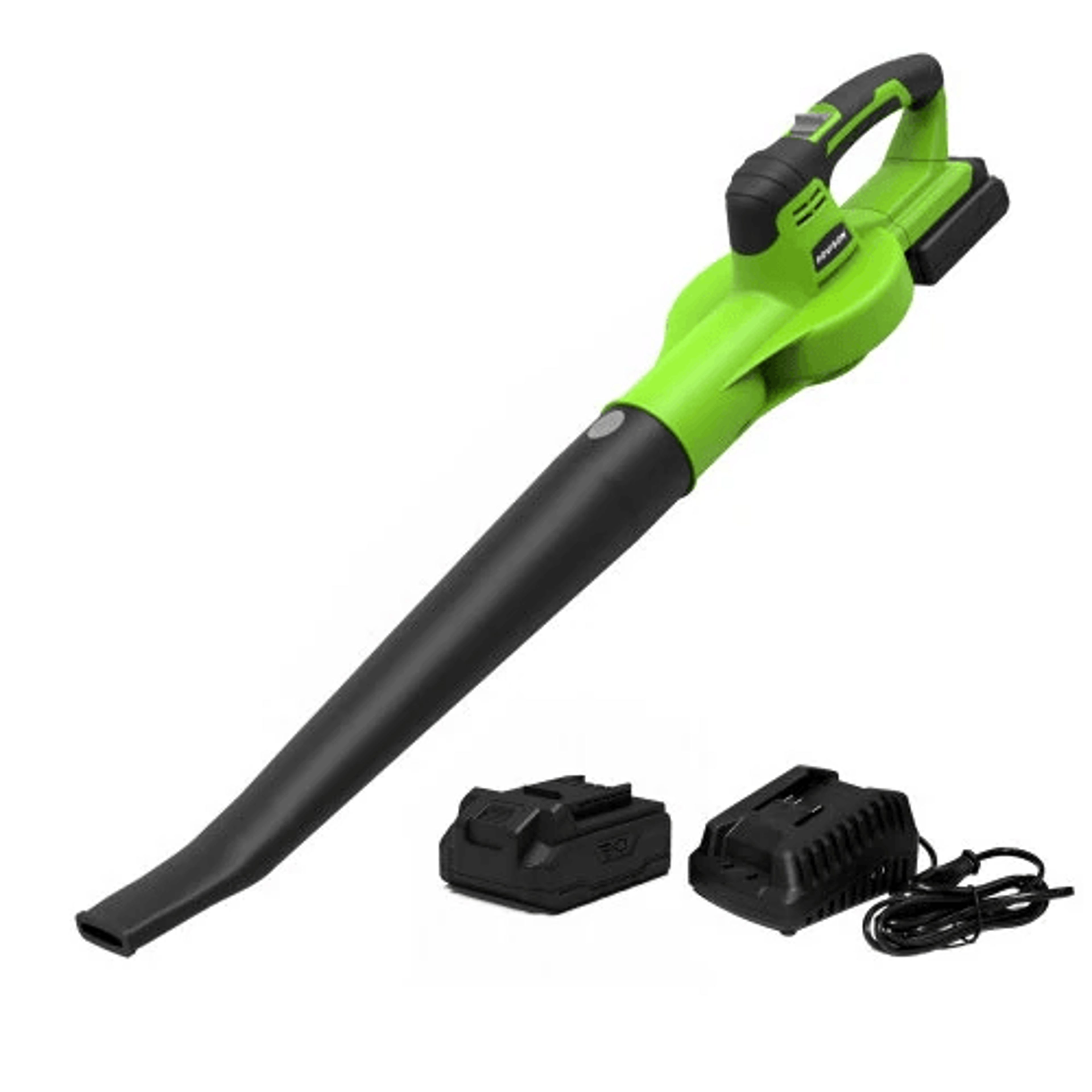 portable electric blower with brushless motor and max battery