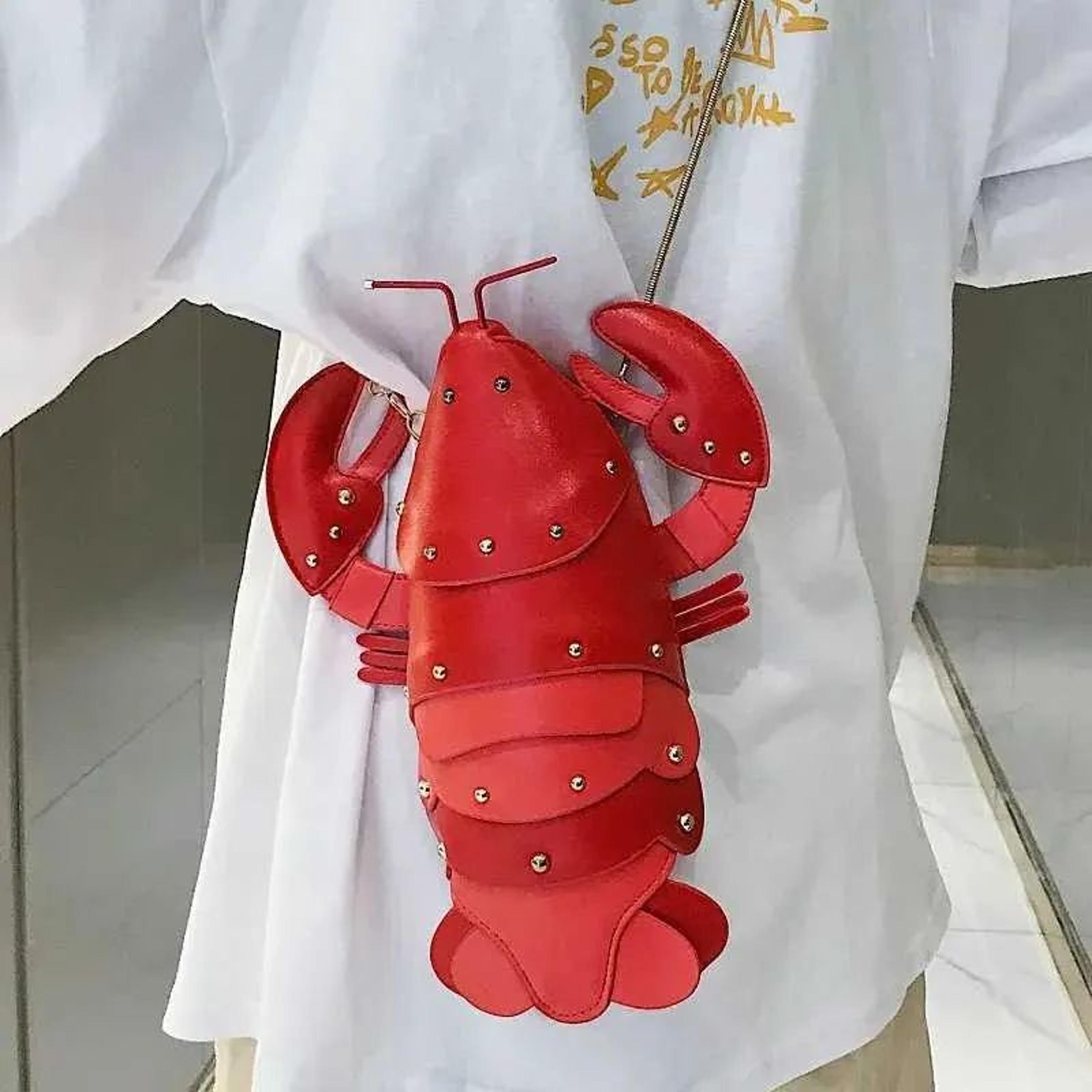 Mini PU Leather Crossbody Bag With Chain Strap And Zipper Closure In Lobster Style 2