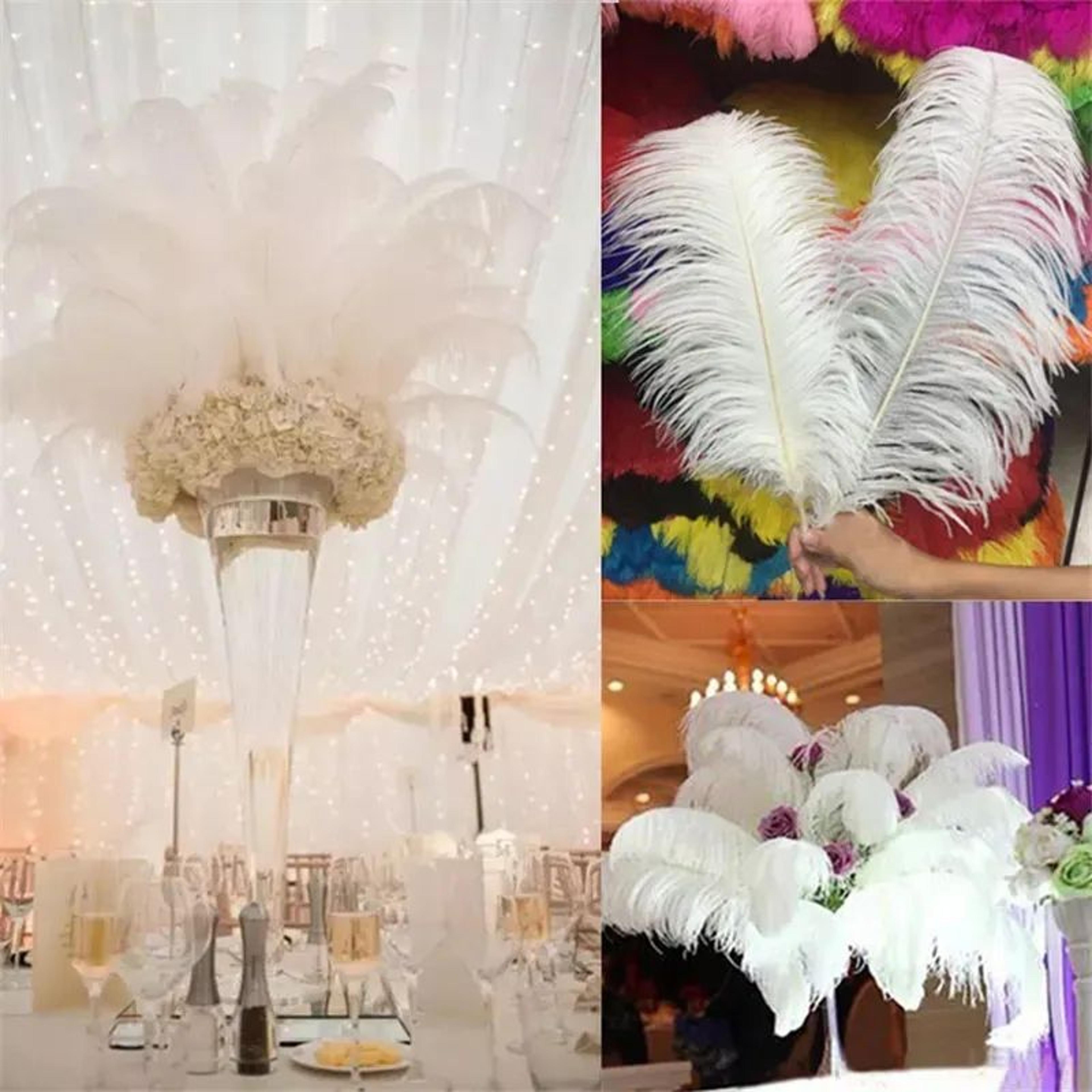 White Ostrich Feathers For Wedding Centerpieces And Party Decorations 6