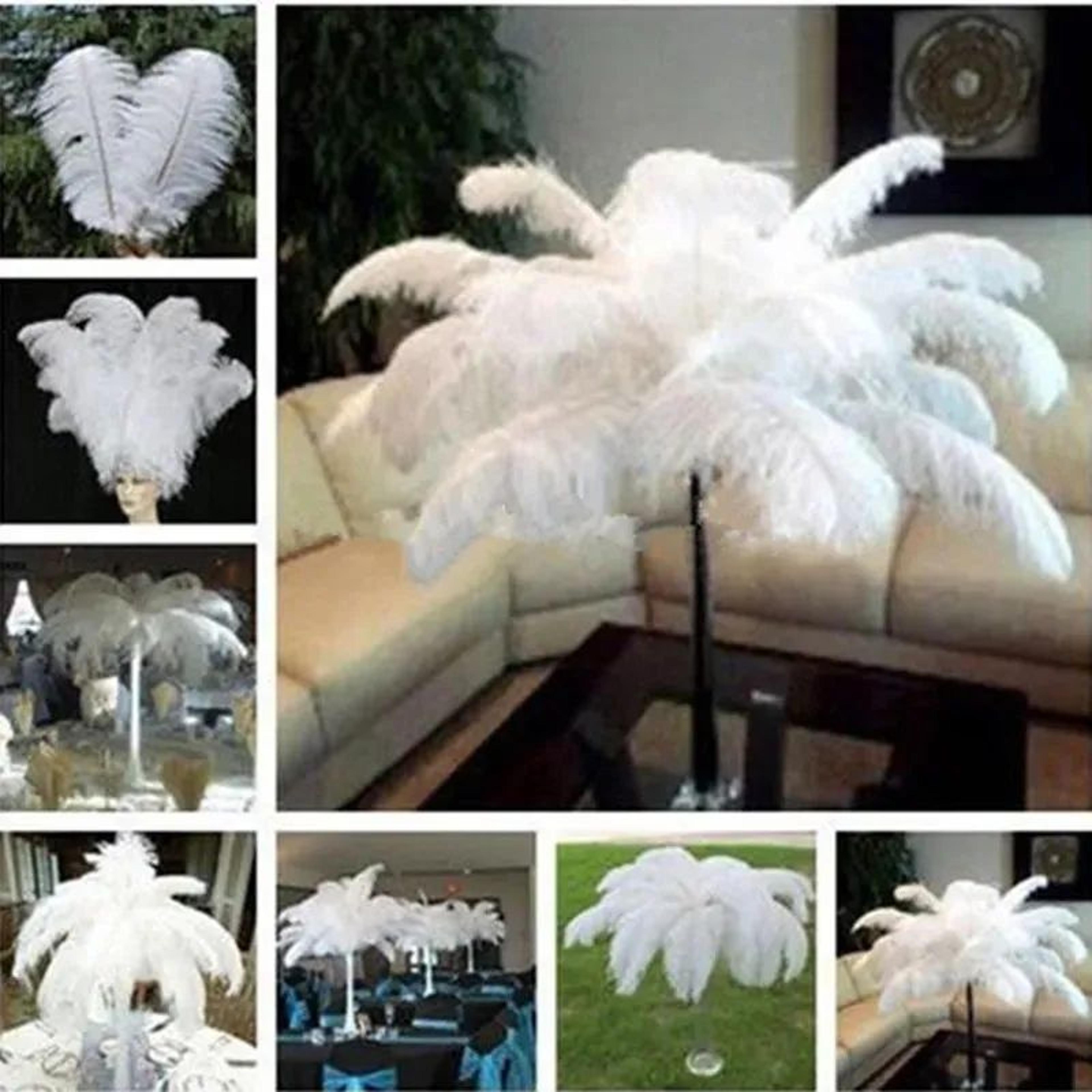 White Ostrich Feathers For Wedding Centerpieces And Party Decorations 5