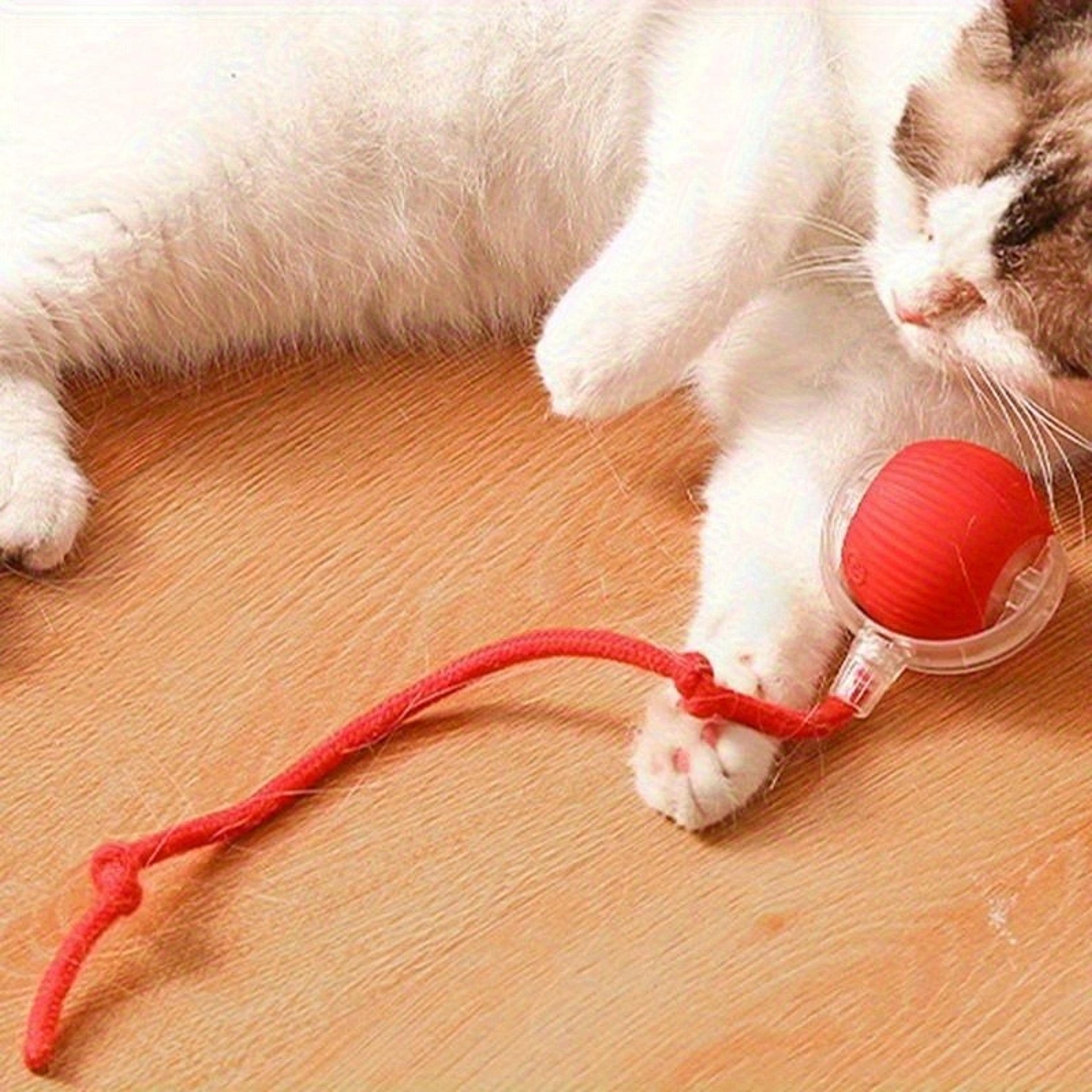 Smart Automatic Rolling Cat Ball With Mouse Tail 3