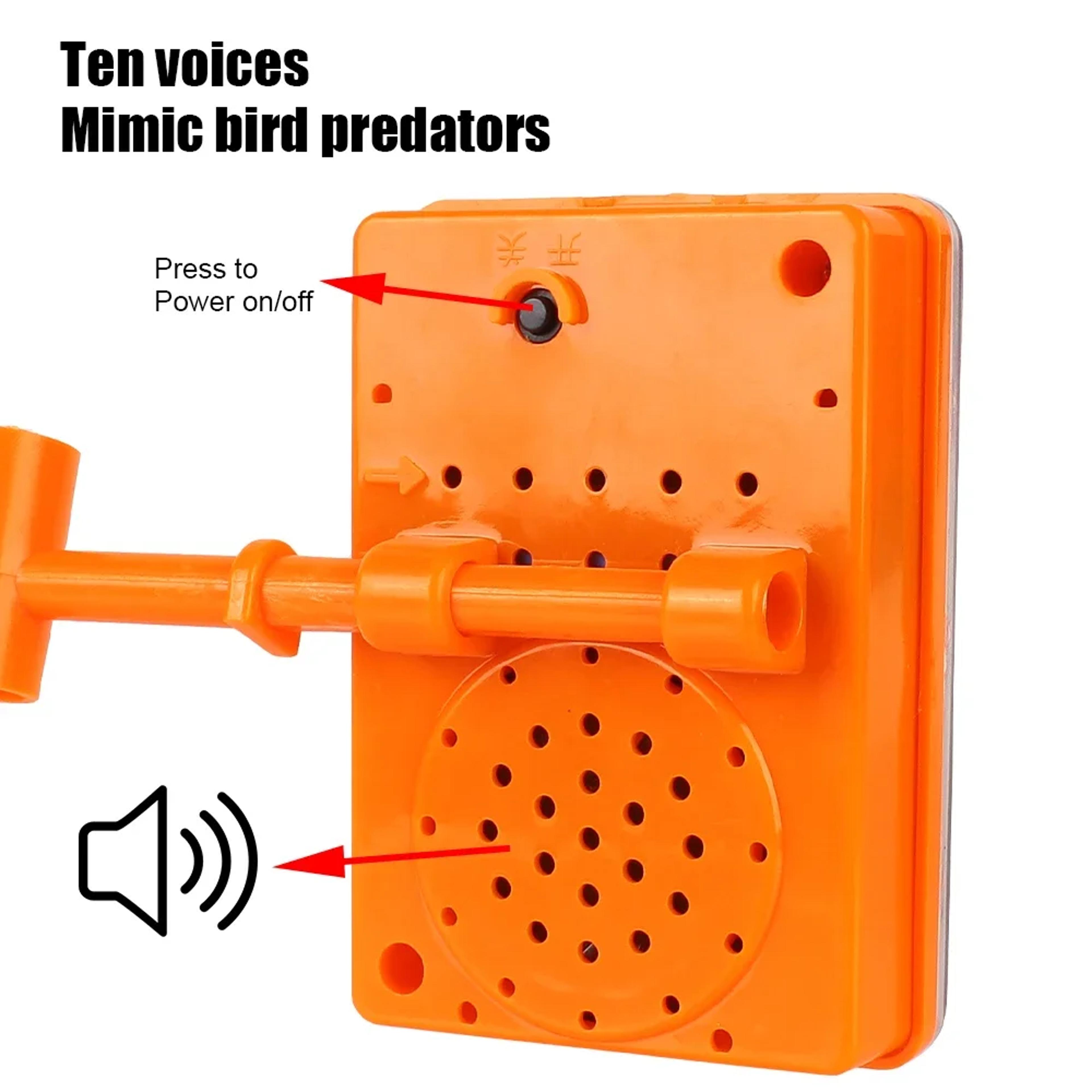 Thumbnail Image