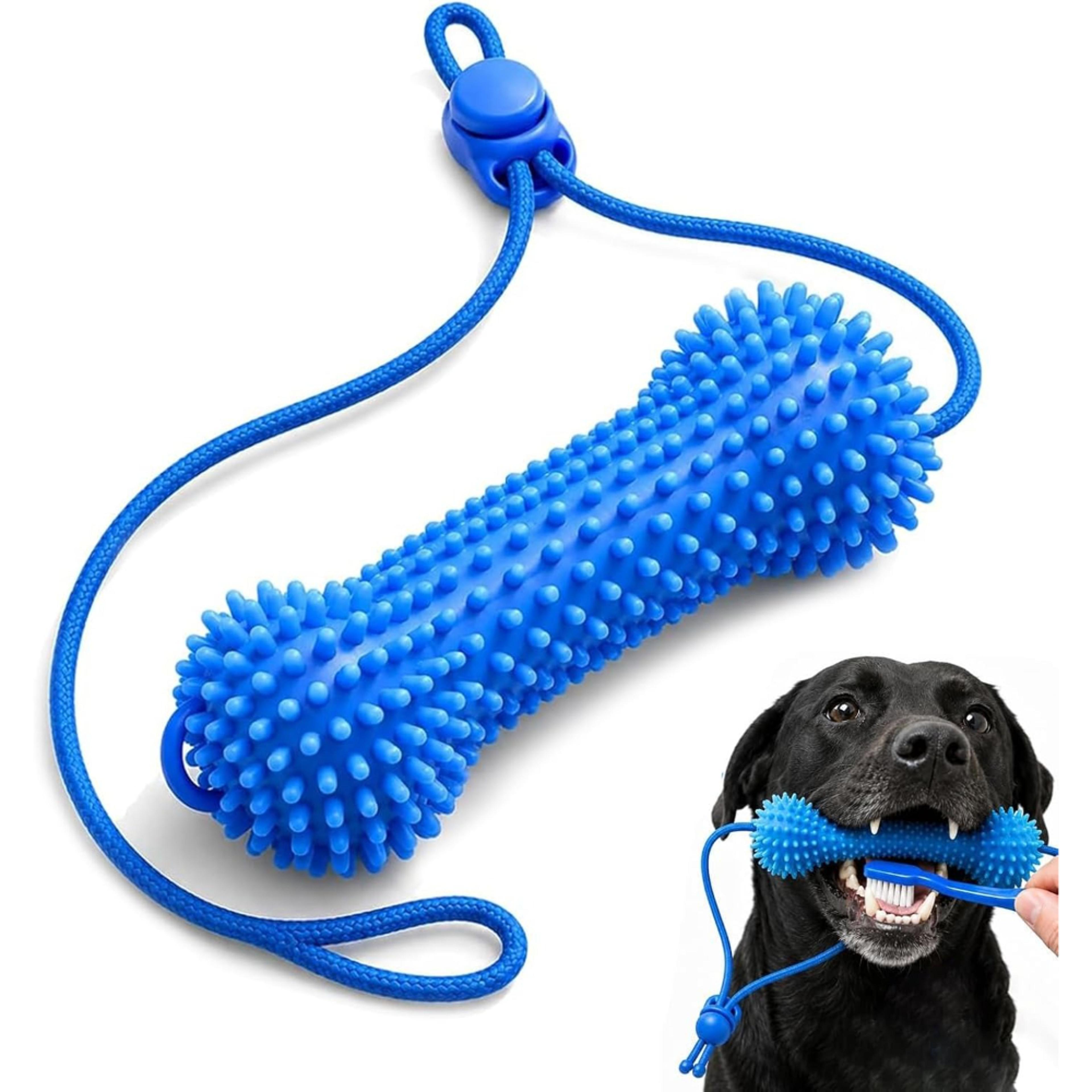 dog dental chew toy with dual action teeth cleaning rubber design