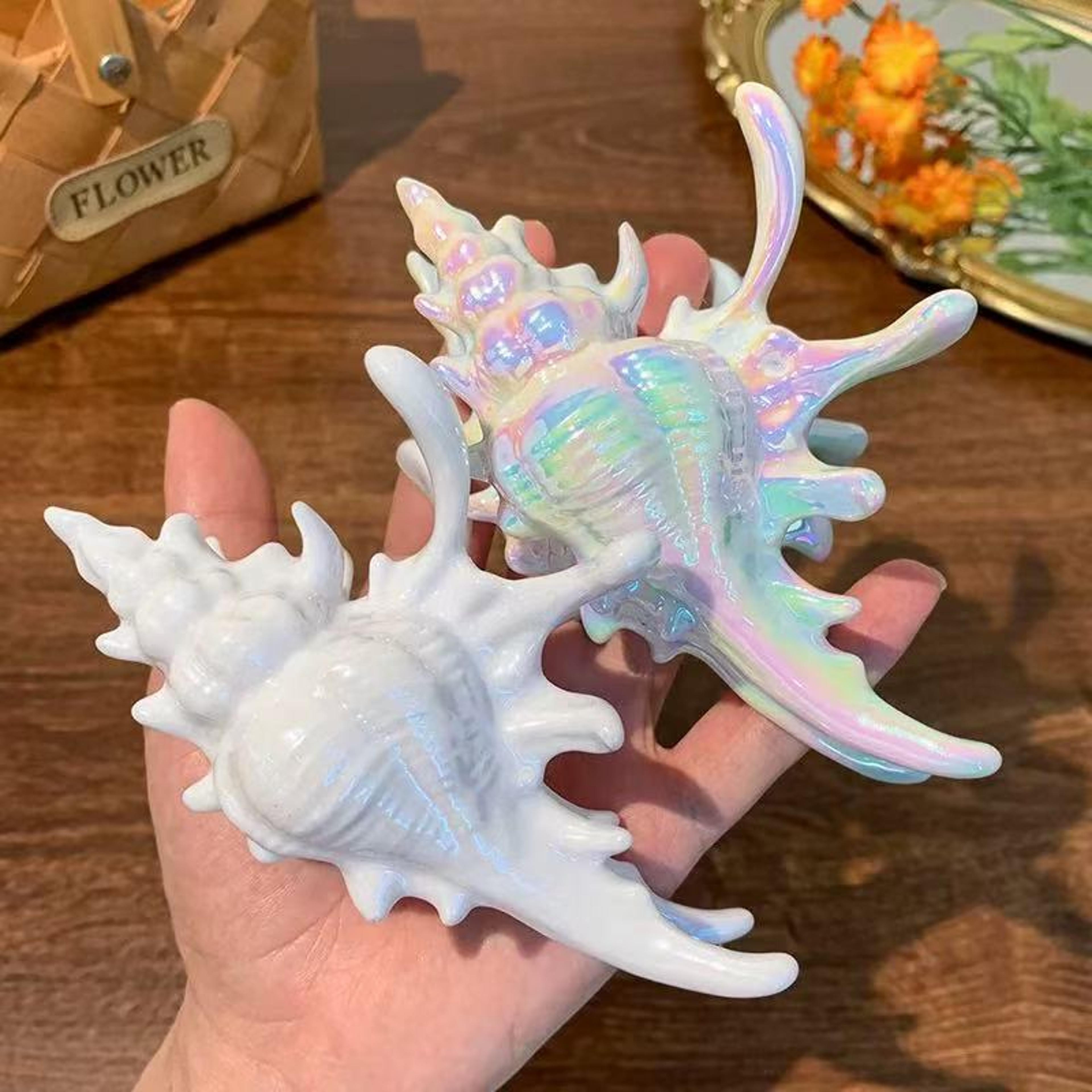 acrylic sea shell hair claw clip for beach and spring summer hairstyles