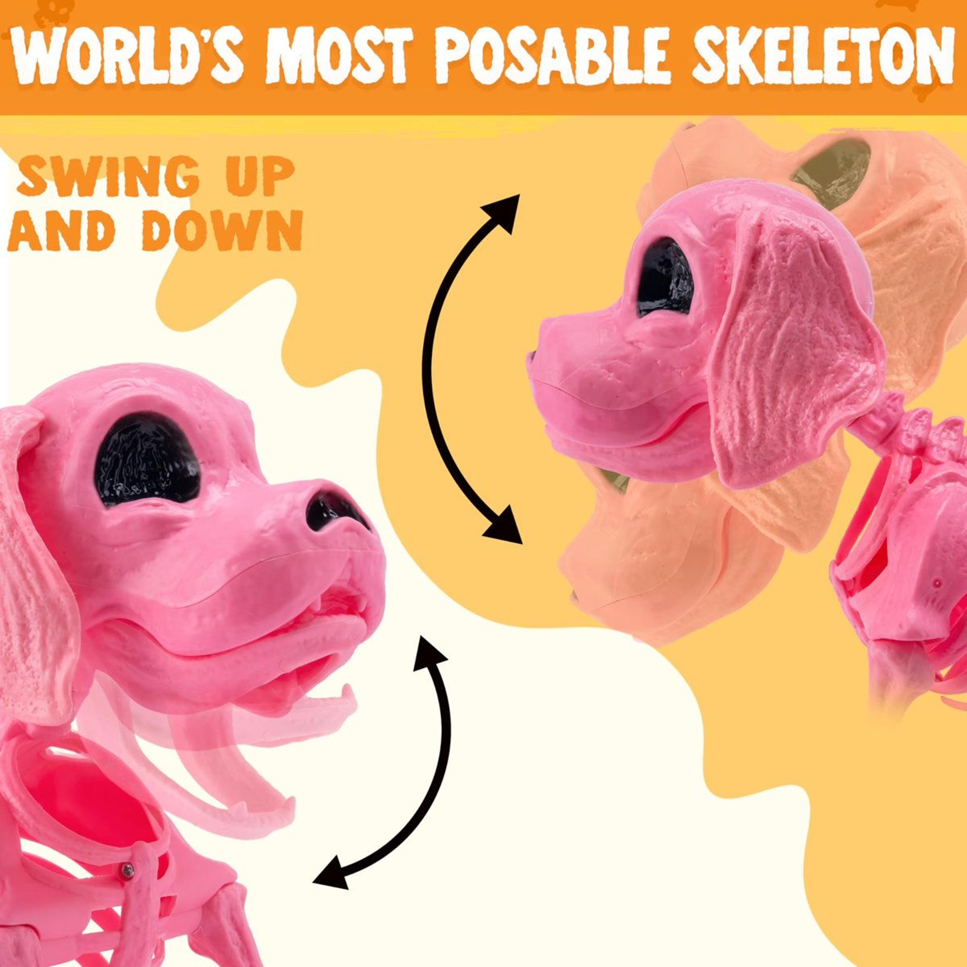 Posable Pink Dog Skeleton Halloween Decoration For Indoor And Outdoor Displays 6