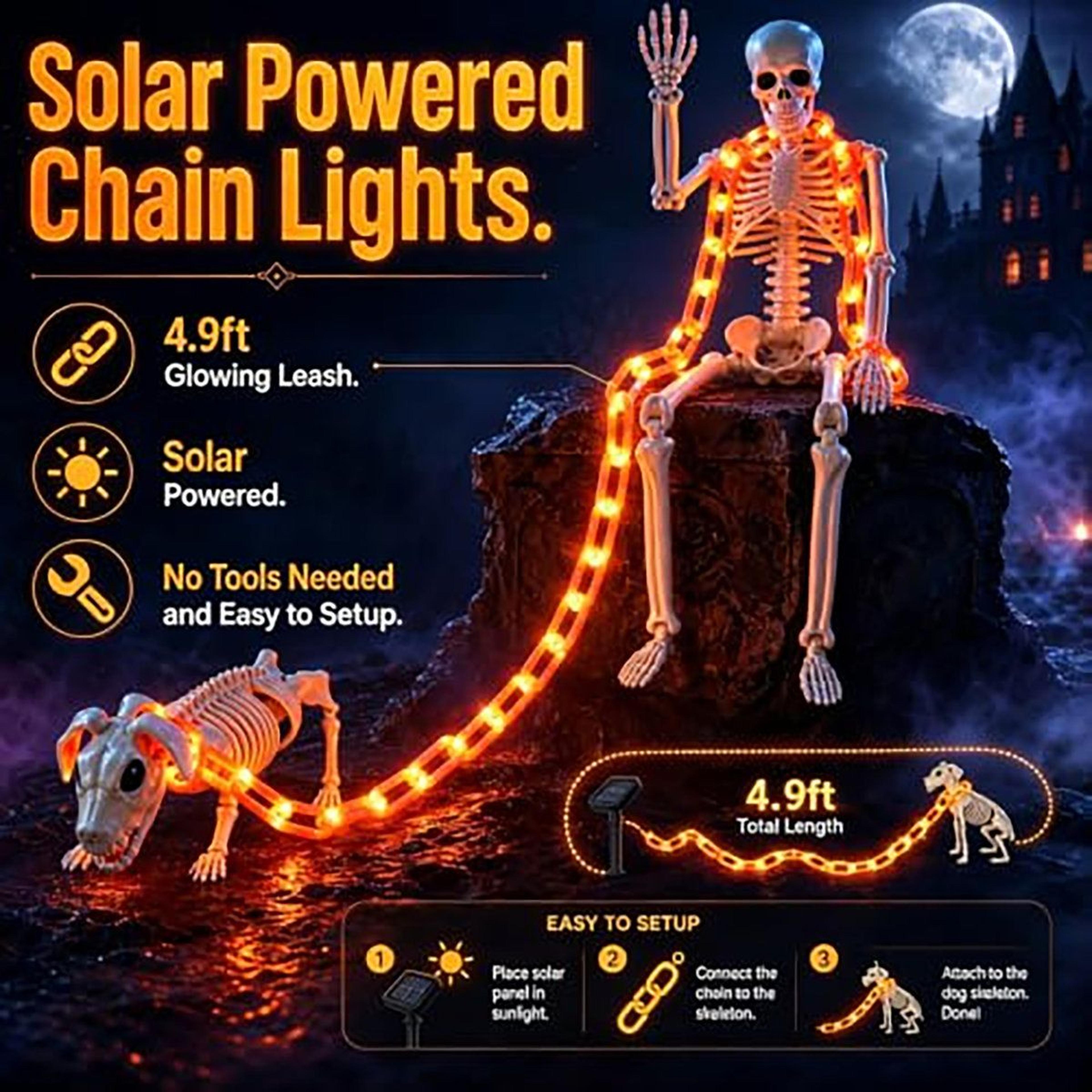 Halloween Skeleton And Dog Skeleton Set With Solar Light Up Chain 1