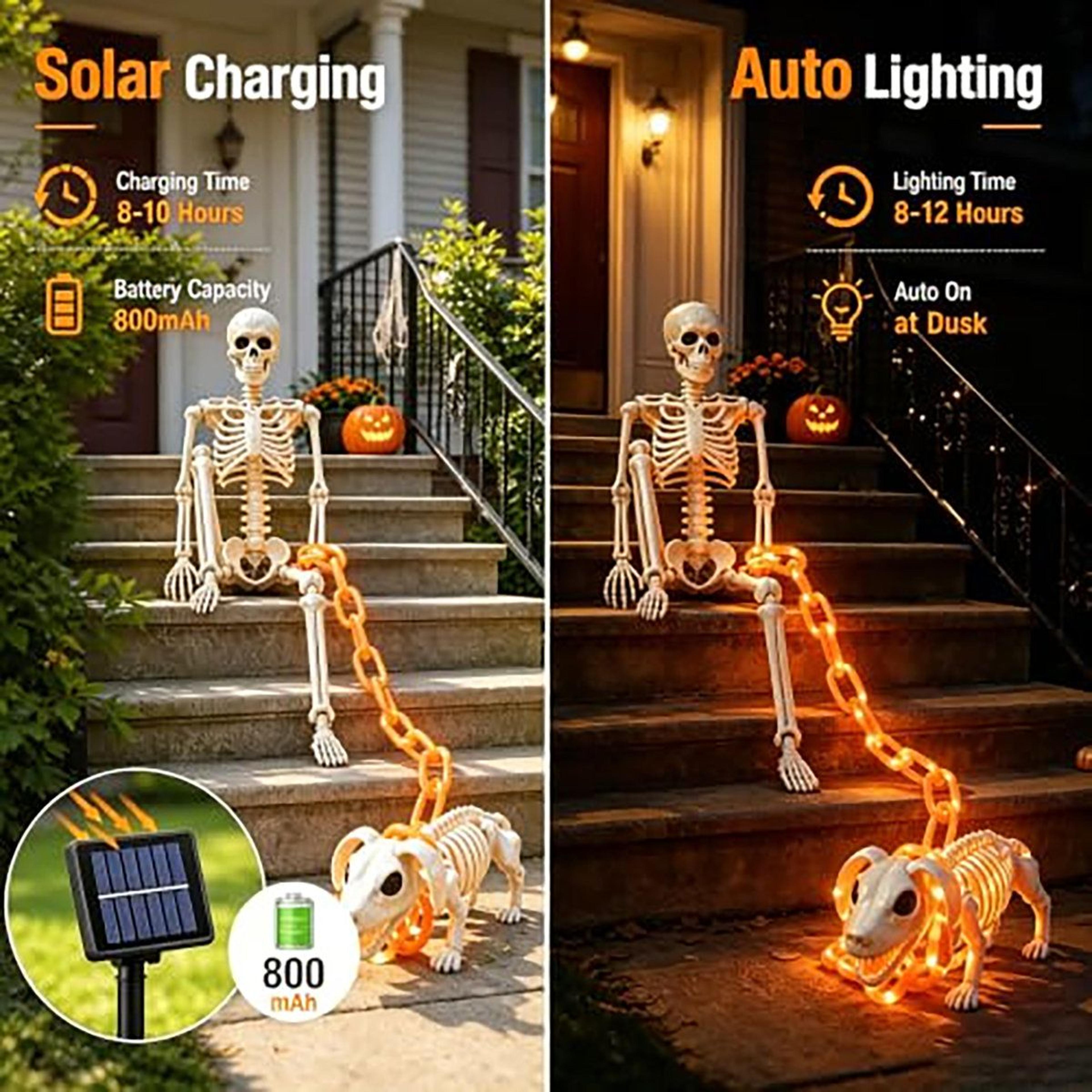 Halloween Skeleton And Dog Skeleton Set With Solar Light Up Chain 2