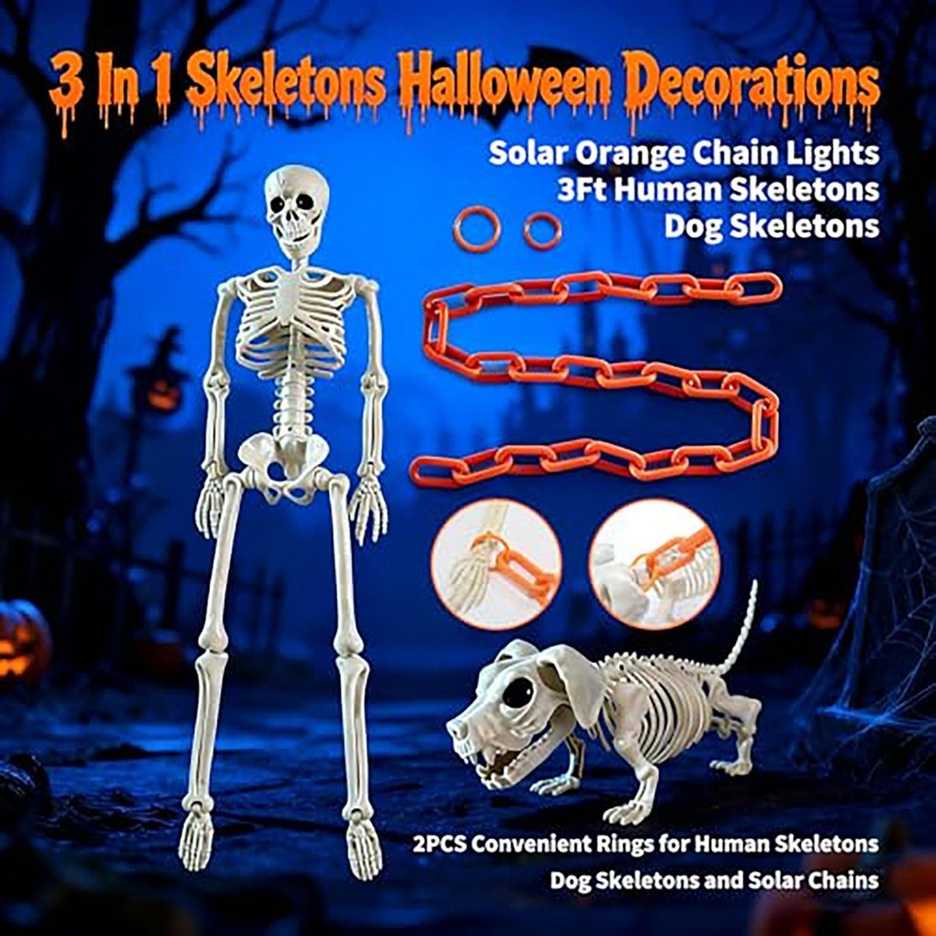 Halloween Skeleton And Dog Skeleton Set With Solar Light Up Chain 4