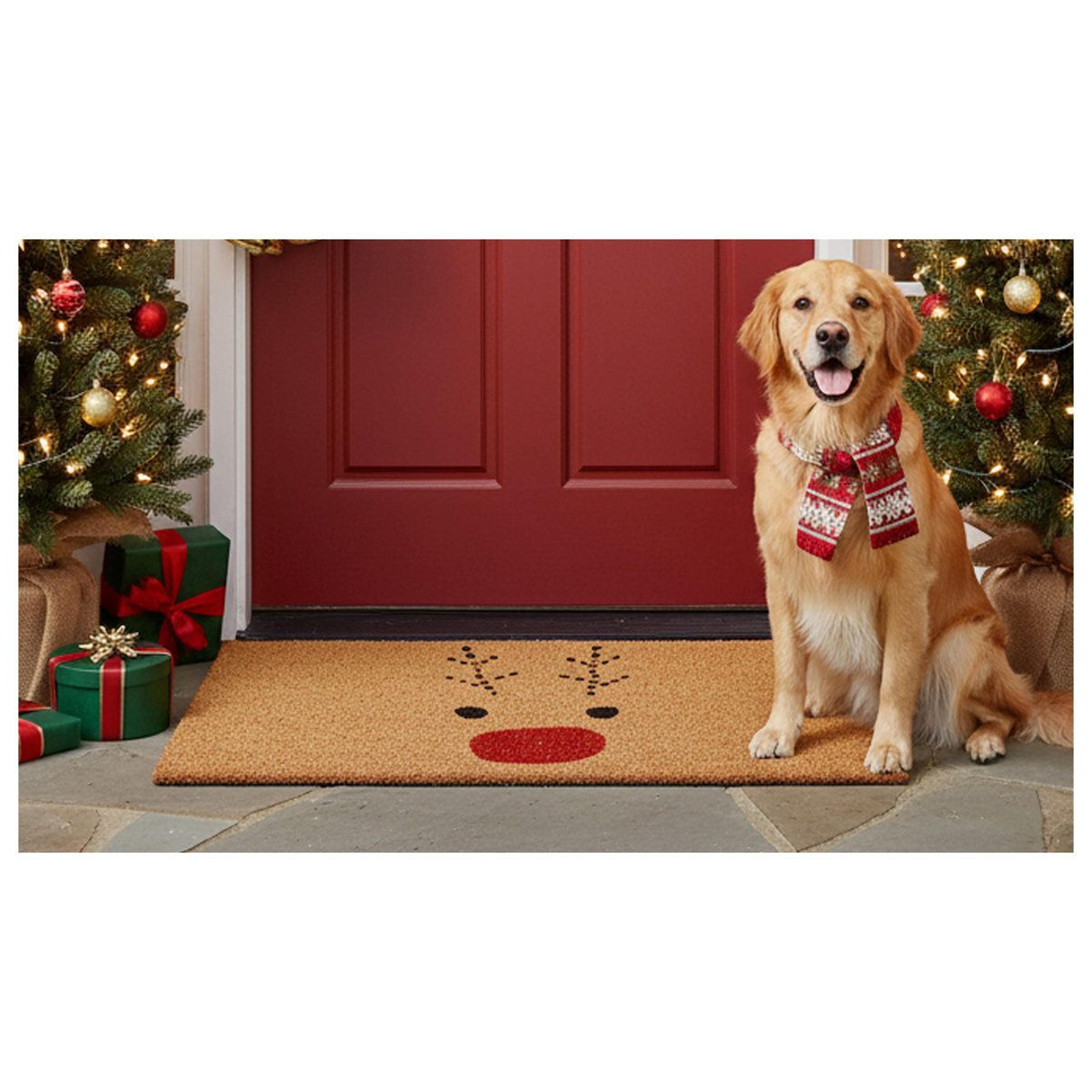 Reindeer Christmas Doormat With NonSlip Backing And Natural Coir 7