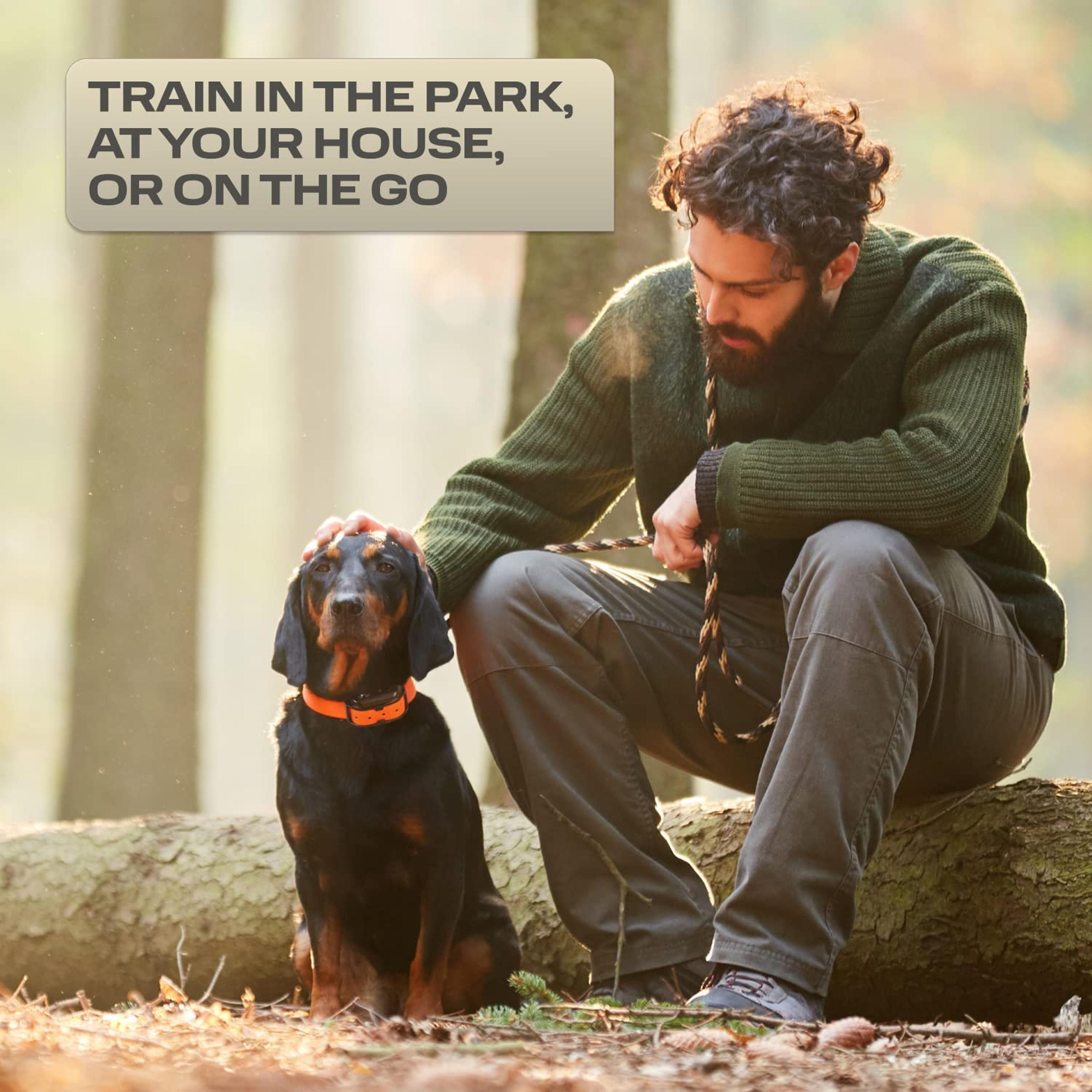 1000m Waterproof Remote Dog Training Collar Shock Vibration Sound 7