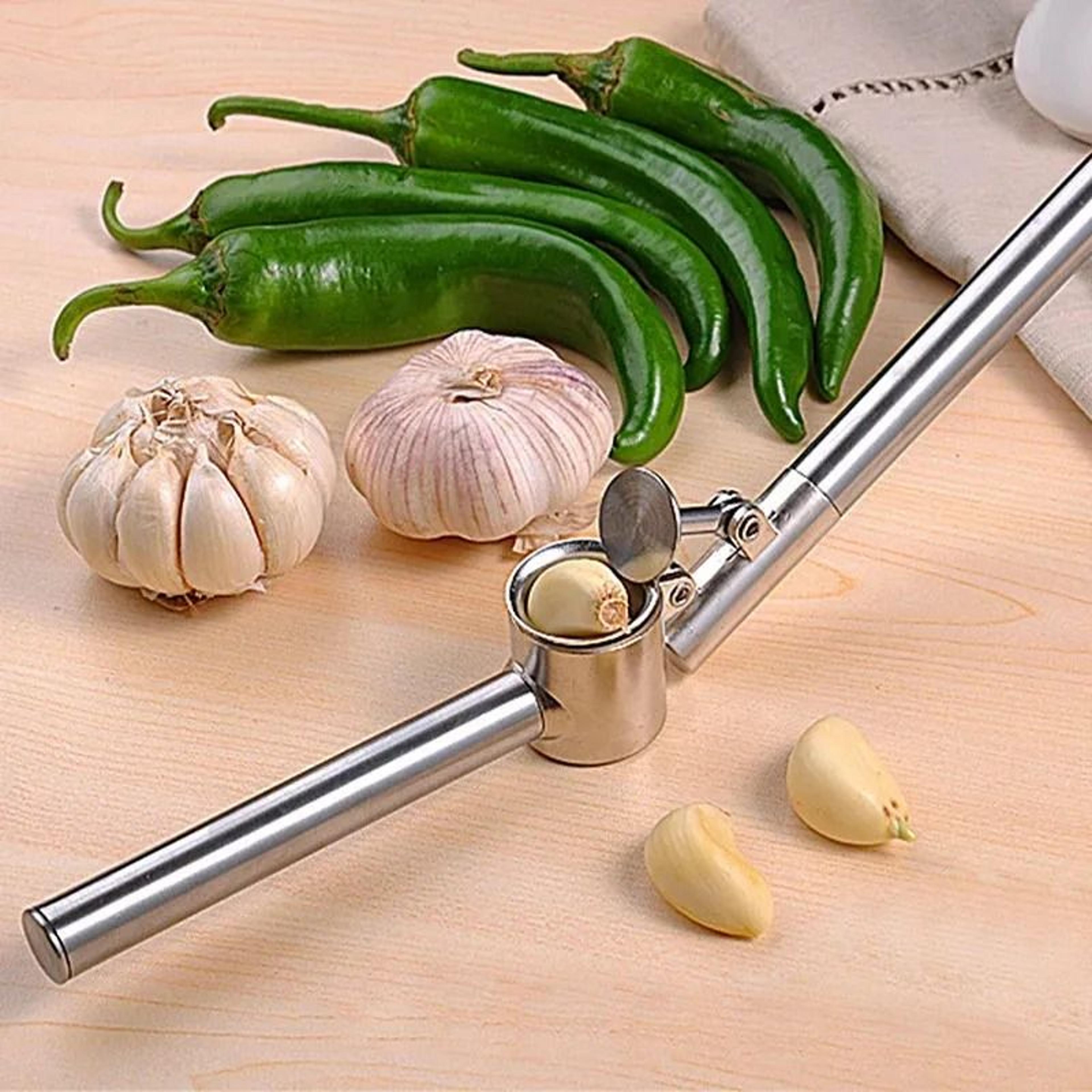 Stainless Steel Garlic Press Set With Peeler And Cleaning Brush 2