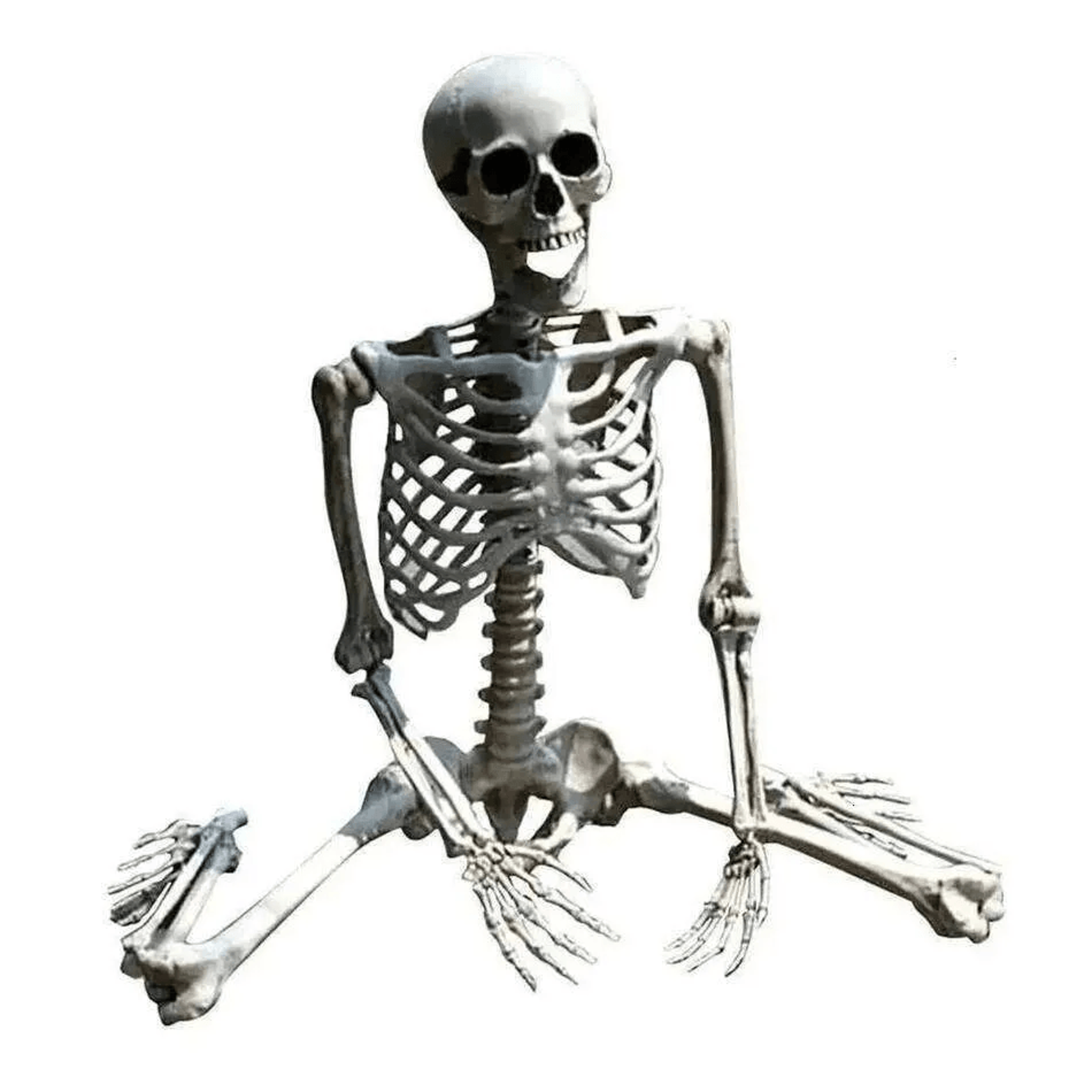realistic full body skeleton halloween decoration with posable joints