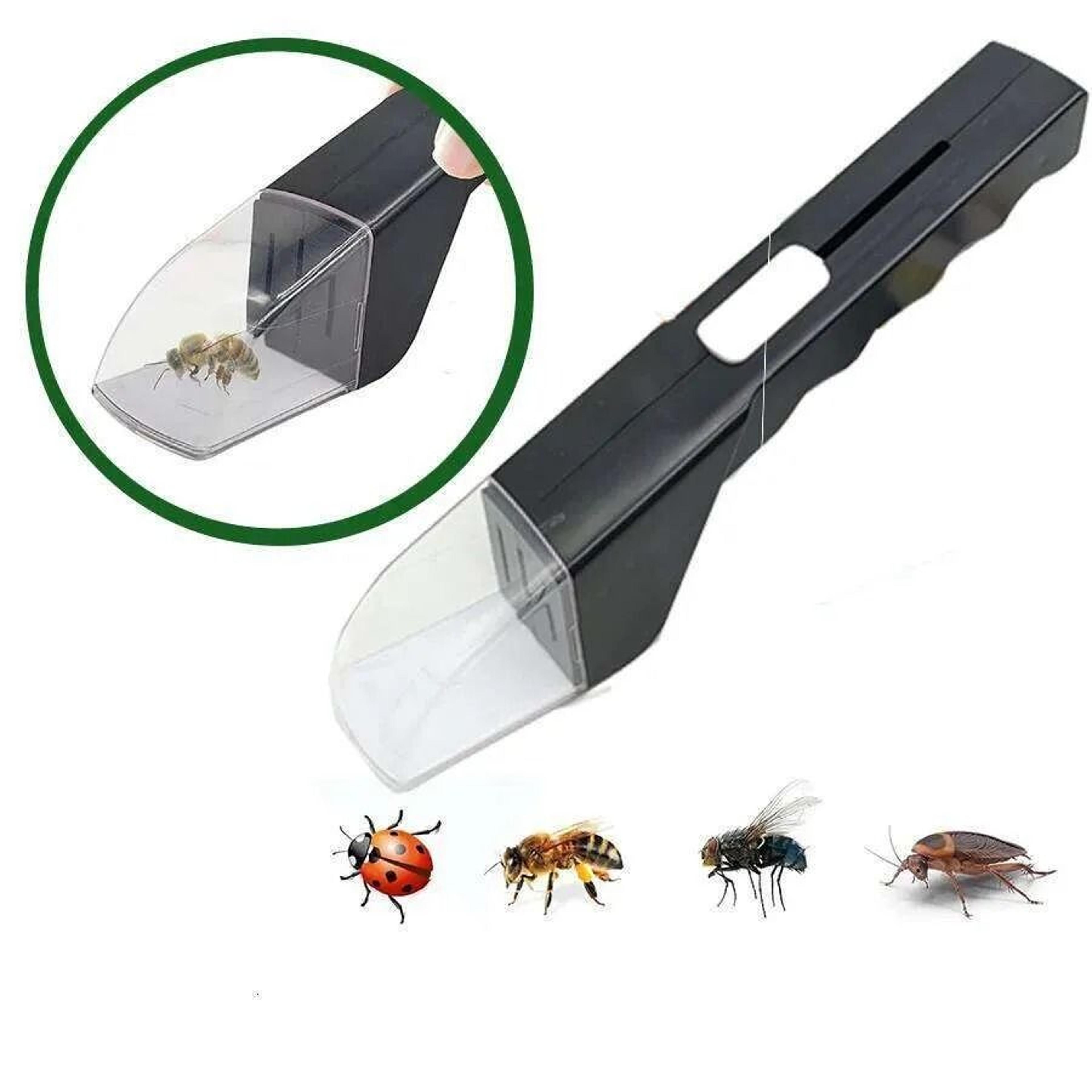 bug catcher tool with clear viewing window and quick release mechanism