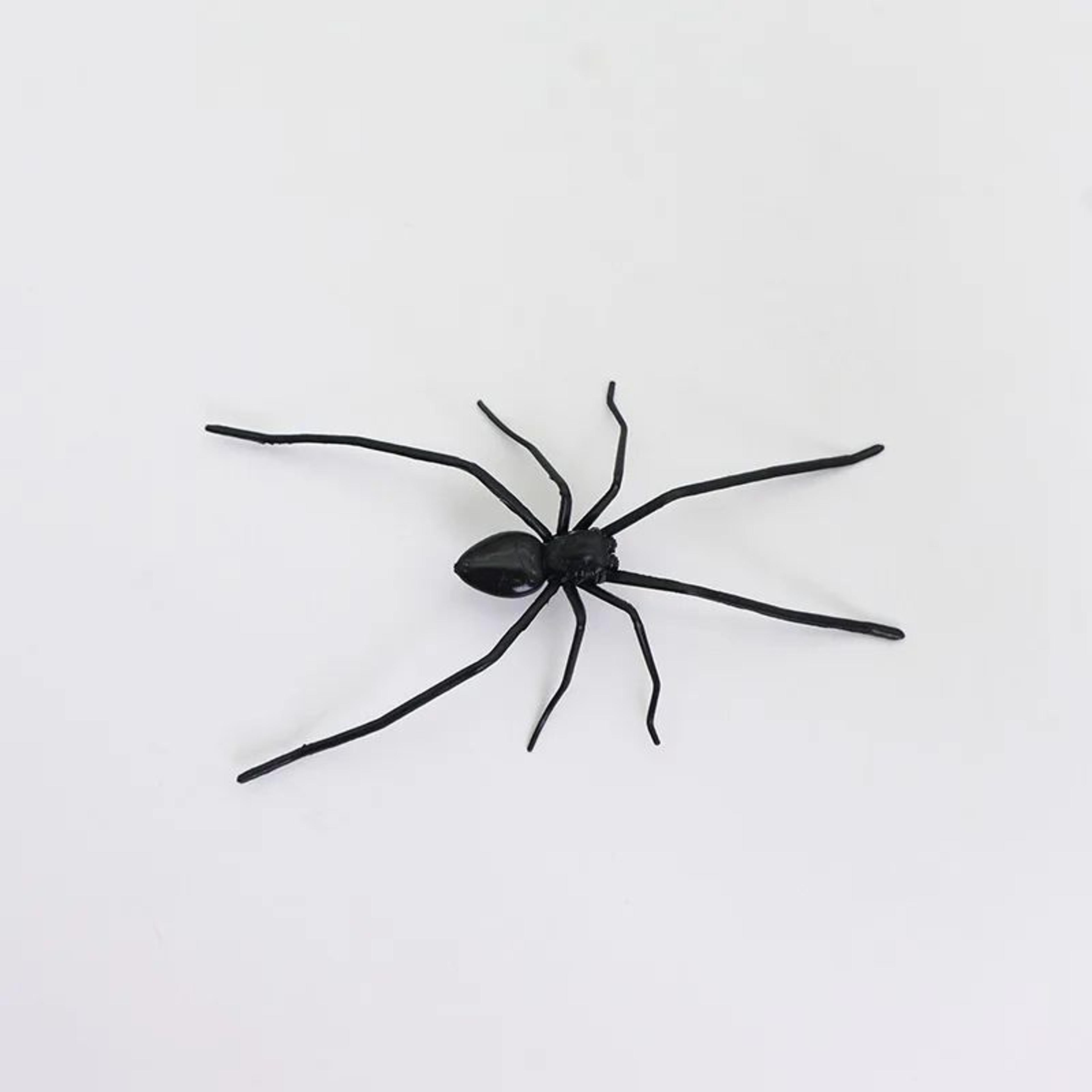 Realistic Spider Fridge Magnets  Fun Novelty Magnetic Home  Garage Decor 6