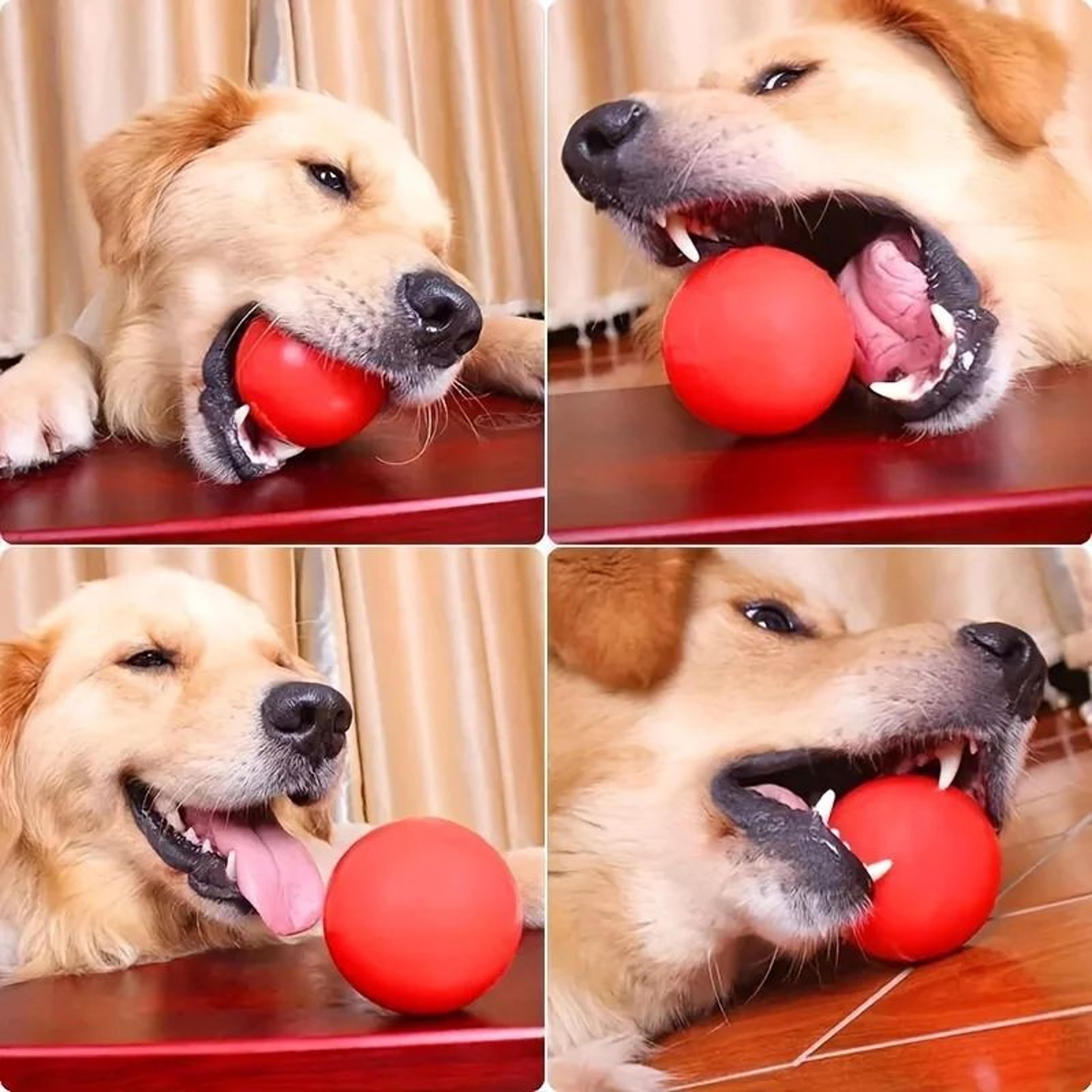 Indestructible Rubber Dog Chew Ball For Aggressive Chewers  Interactive Teeth Cleaning Dog Toy 2
