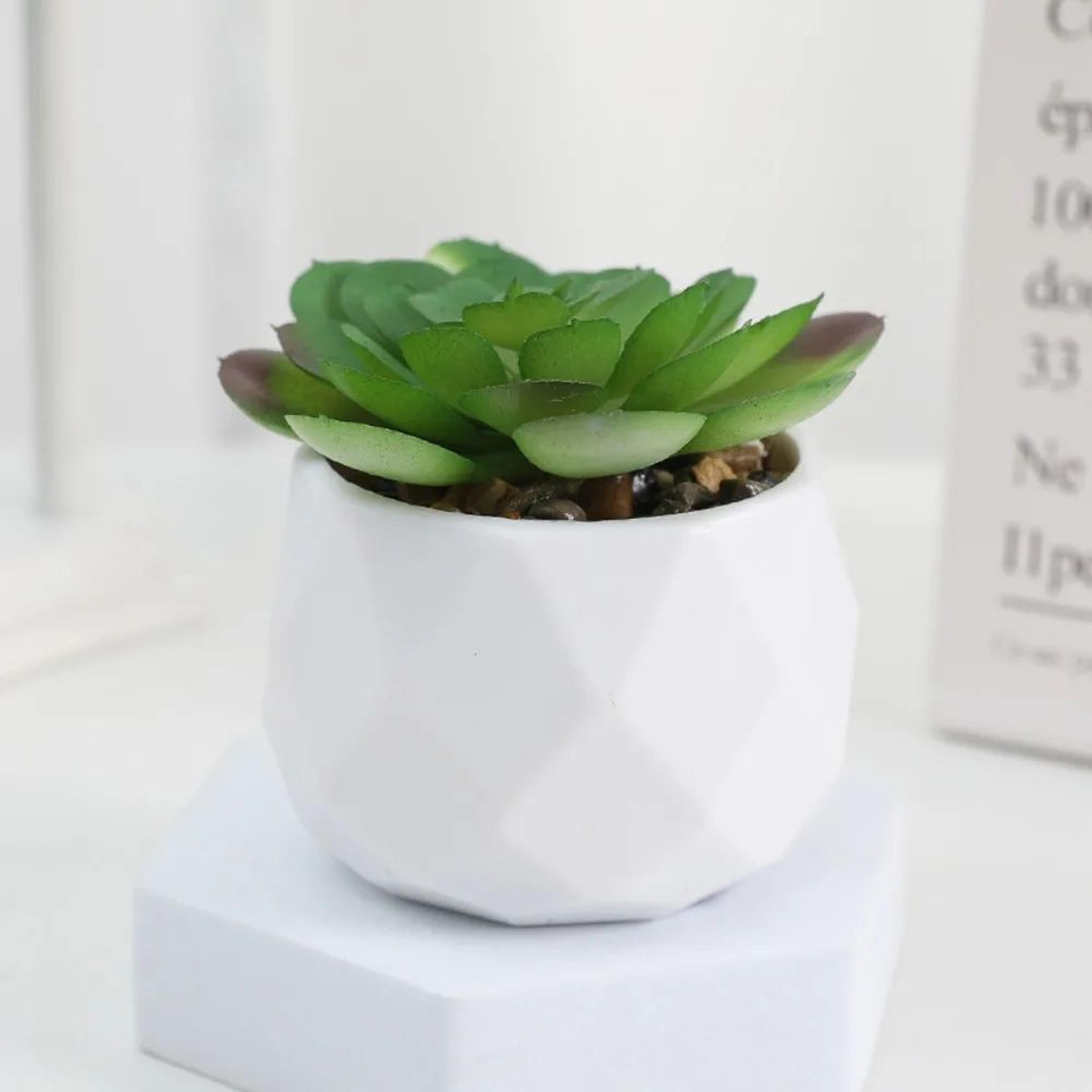 Mini Artificial Succulent Bonsai Plant  Realistic Fake Cactus Decor For Home  Office 3