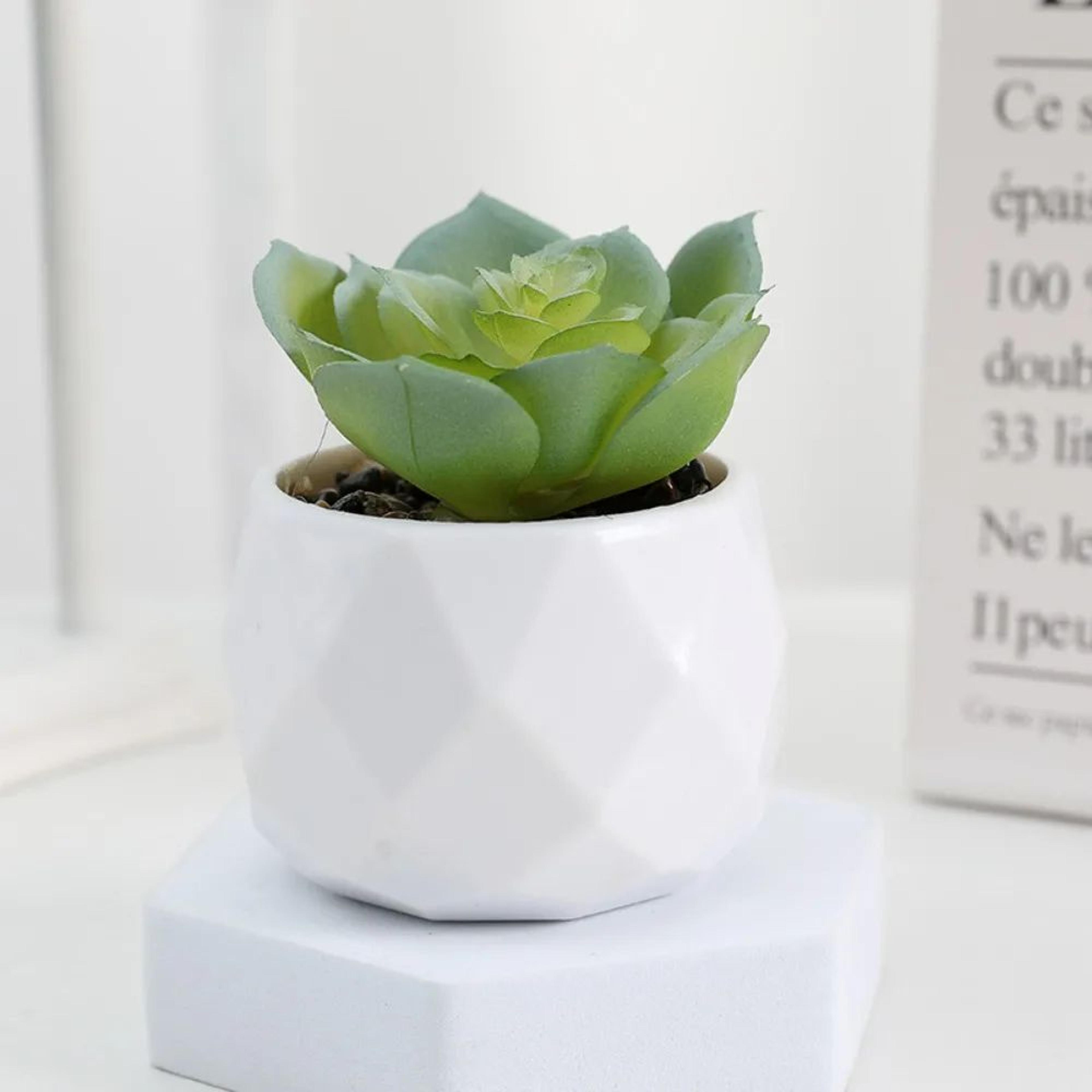 Mini Artificial Succulent Bonsai Plant  Realistic Fake Cactus Decor For Home  Office 7
