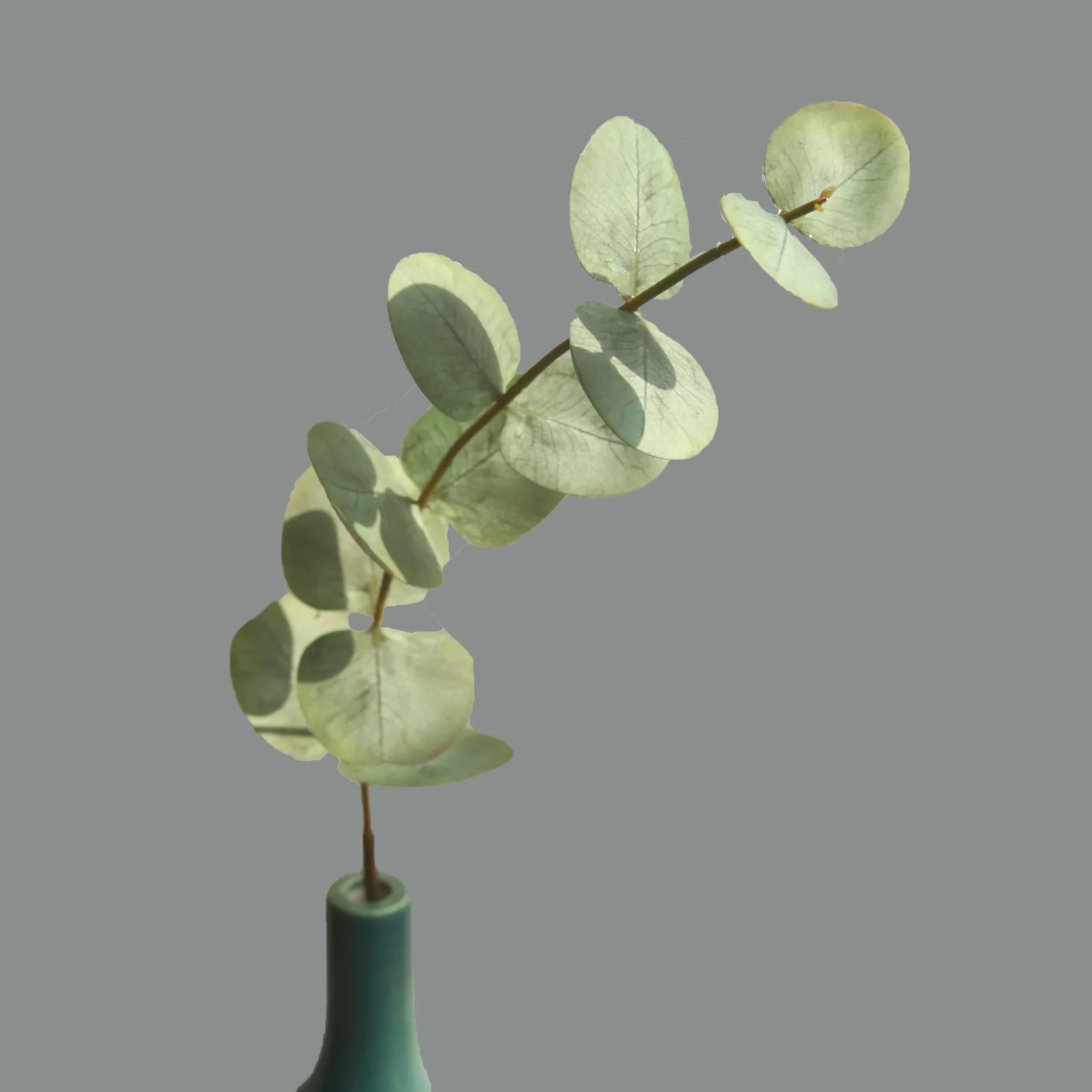 10pcs Real Touch Eucalyptus Leaves  Artificial Greenery Stems For Wedding Bouquet  Home Decor 4