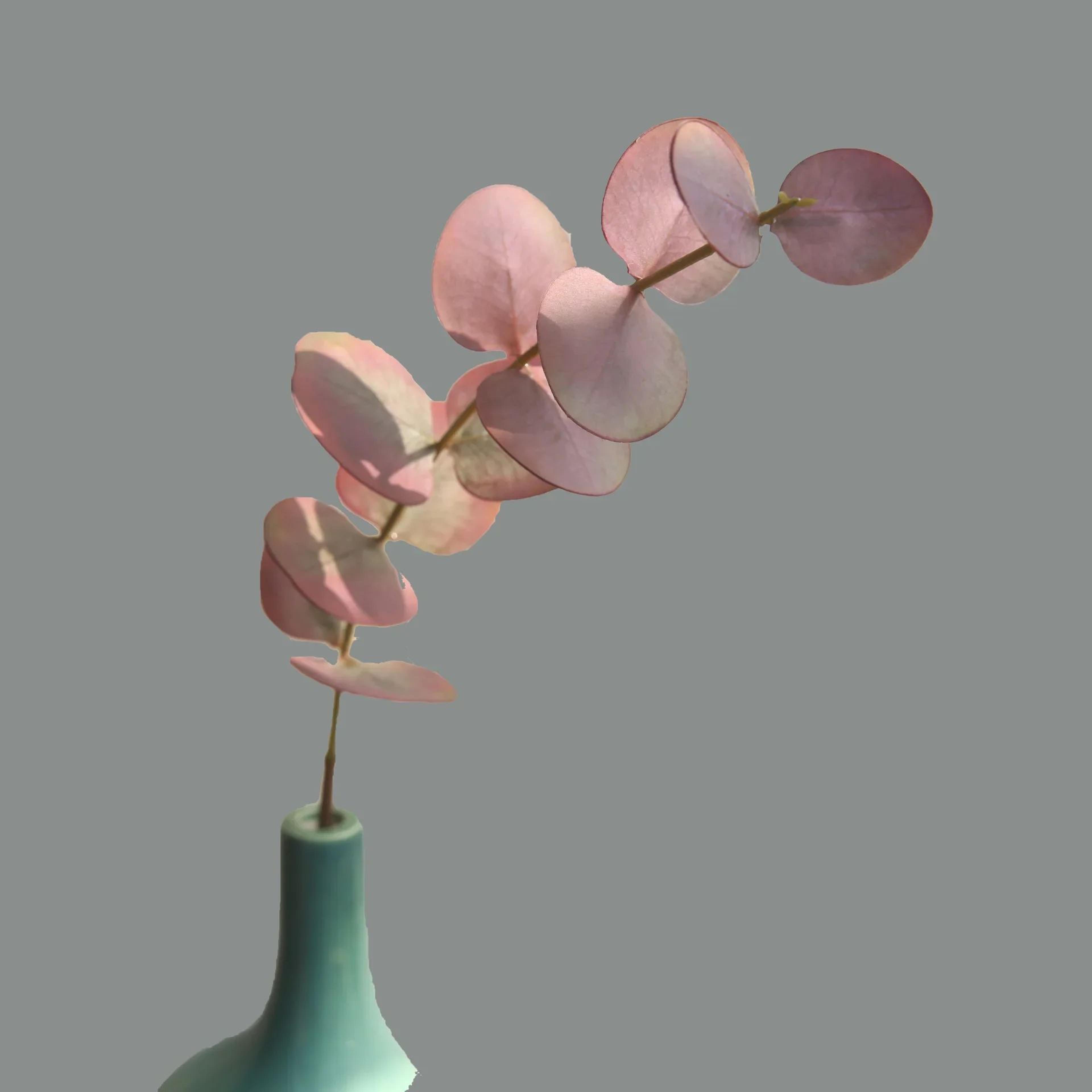 10pcs Real Touch Eucalyptus Leaves  Artificial Greenery Stems For Wedding Bouquet  Home Decor 7