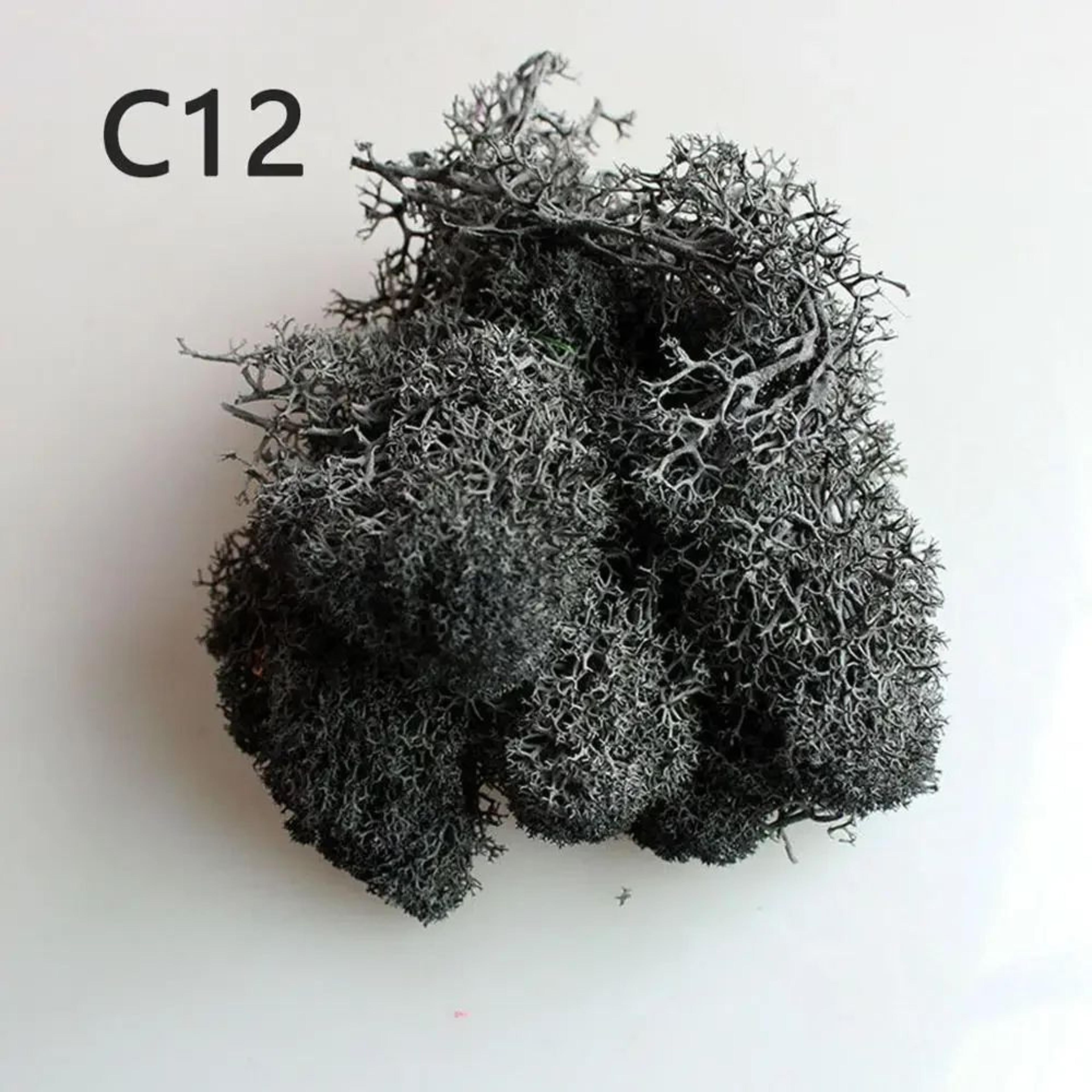 Artificial Eternal Moss Wall Decor  Faux Green Micro Landscape Panel For DIY Garden  Home Decoratio