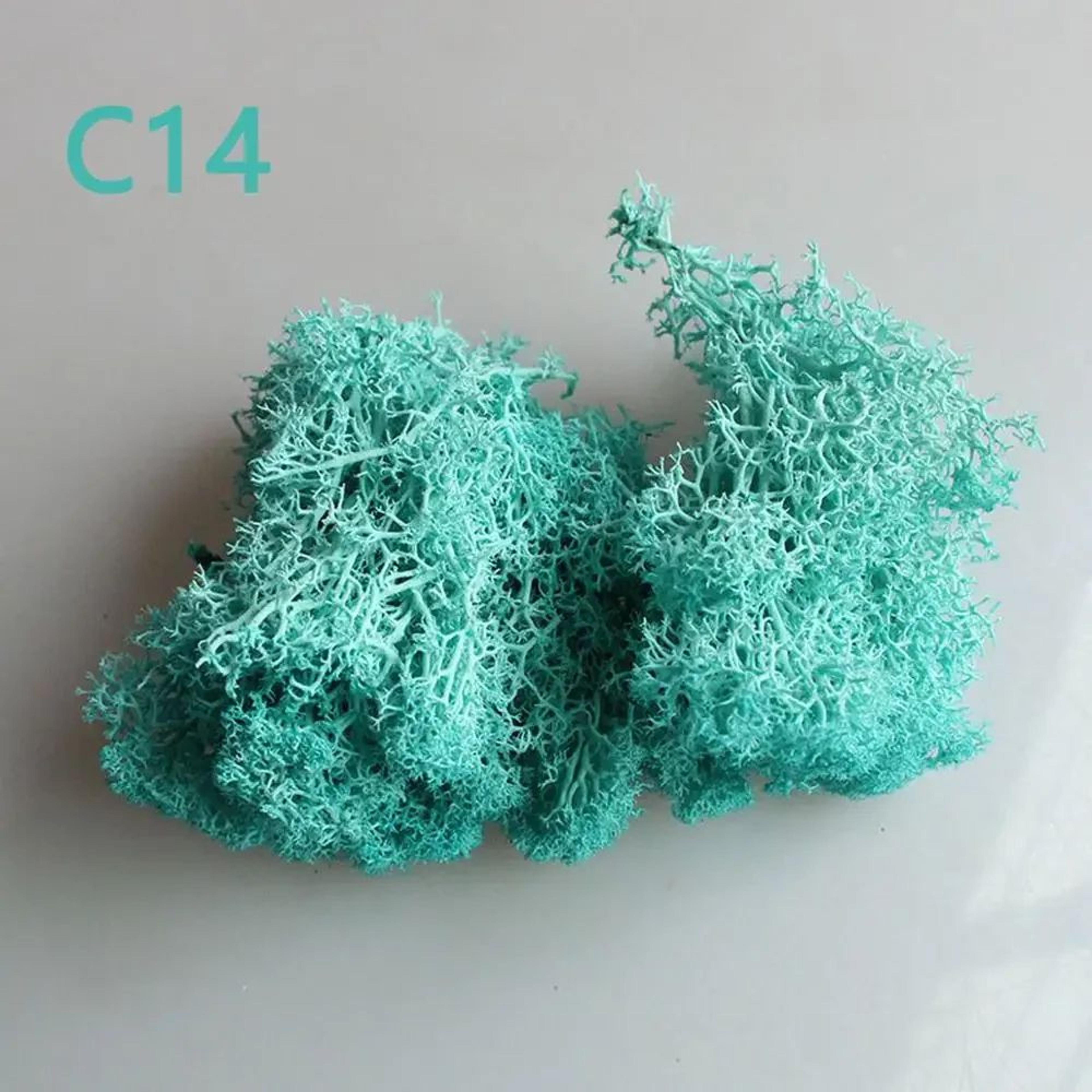 Artificial Eternal Moss Wall Decor  Faux Green Micro Landscape Panel For DIY Garden  Home Decoratio