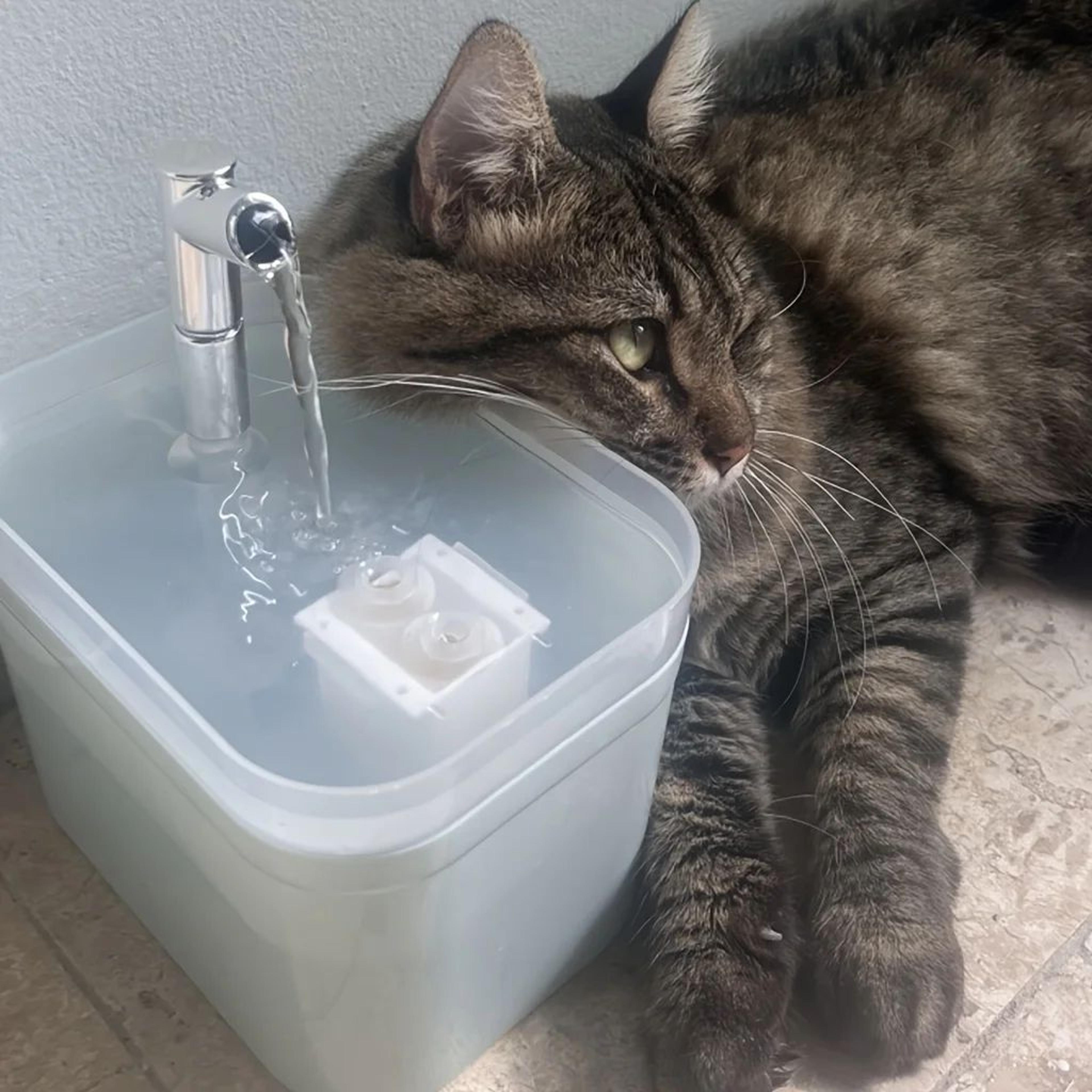 507 Oz Automatic Cat Water Fountain  Circulating Pet Water Dispenser For Cats  Dogs With Continuous 4