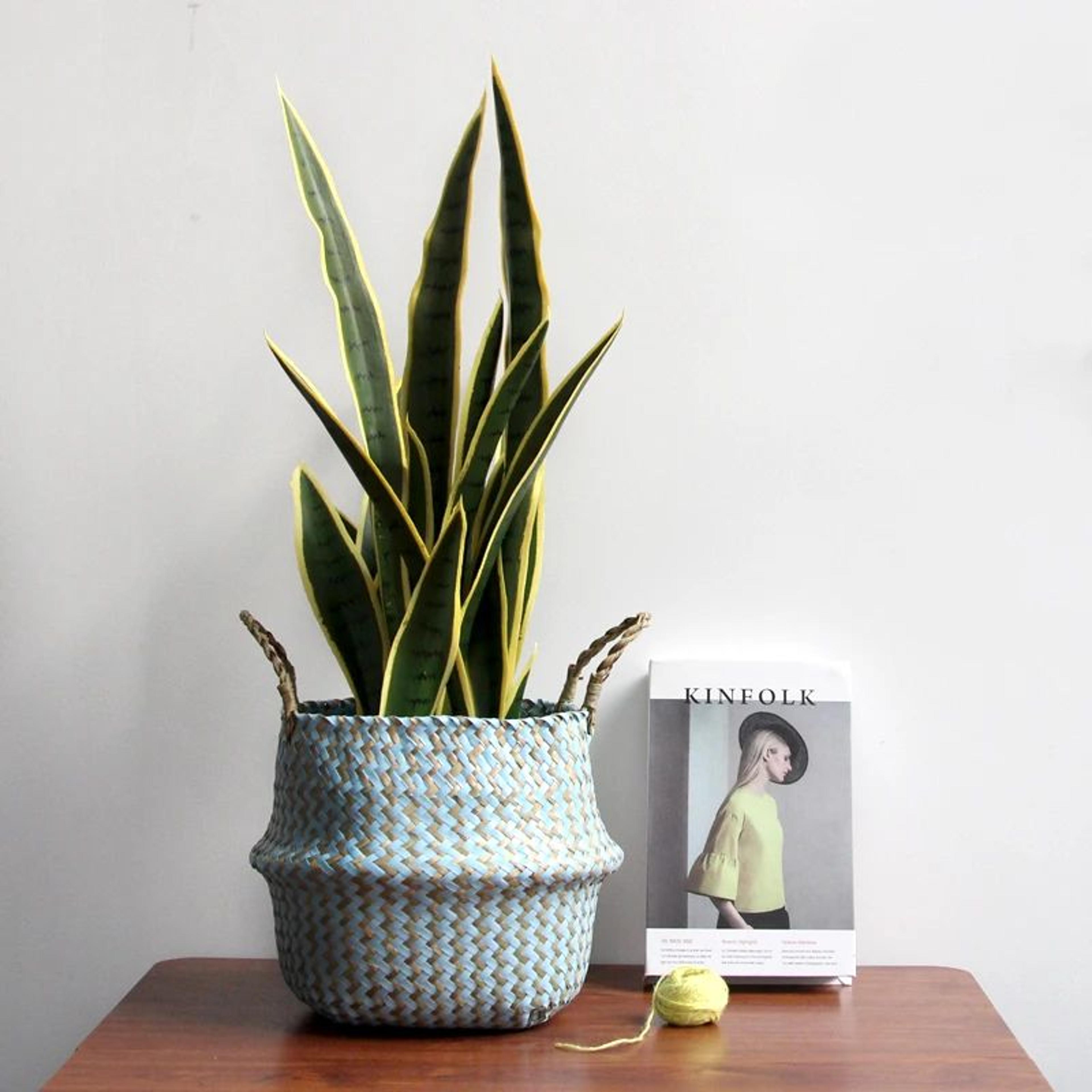 Boho Wicker Storage Basket  Handmade Collapsible Woven Laundry Hamper Striped Flower Pot  Natural H 1
