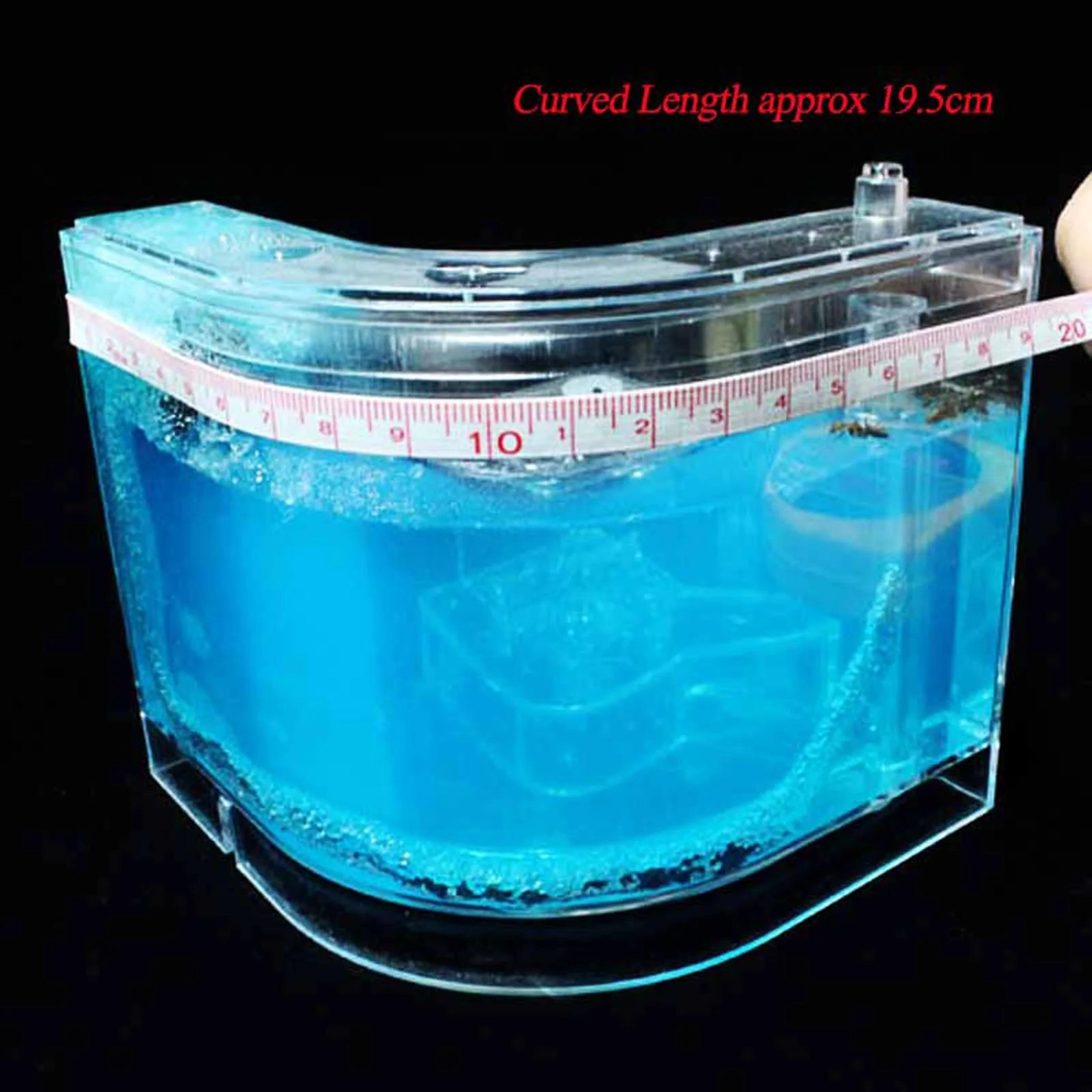 ant farm castle science kit – educational observation habitat for studying ant behavior with hands-on learning at home