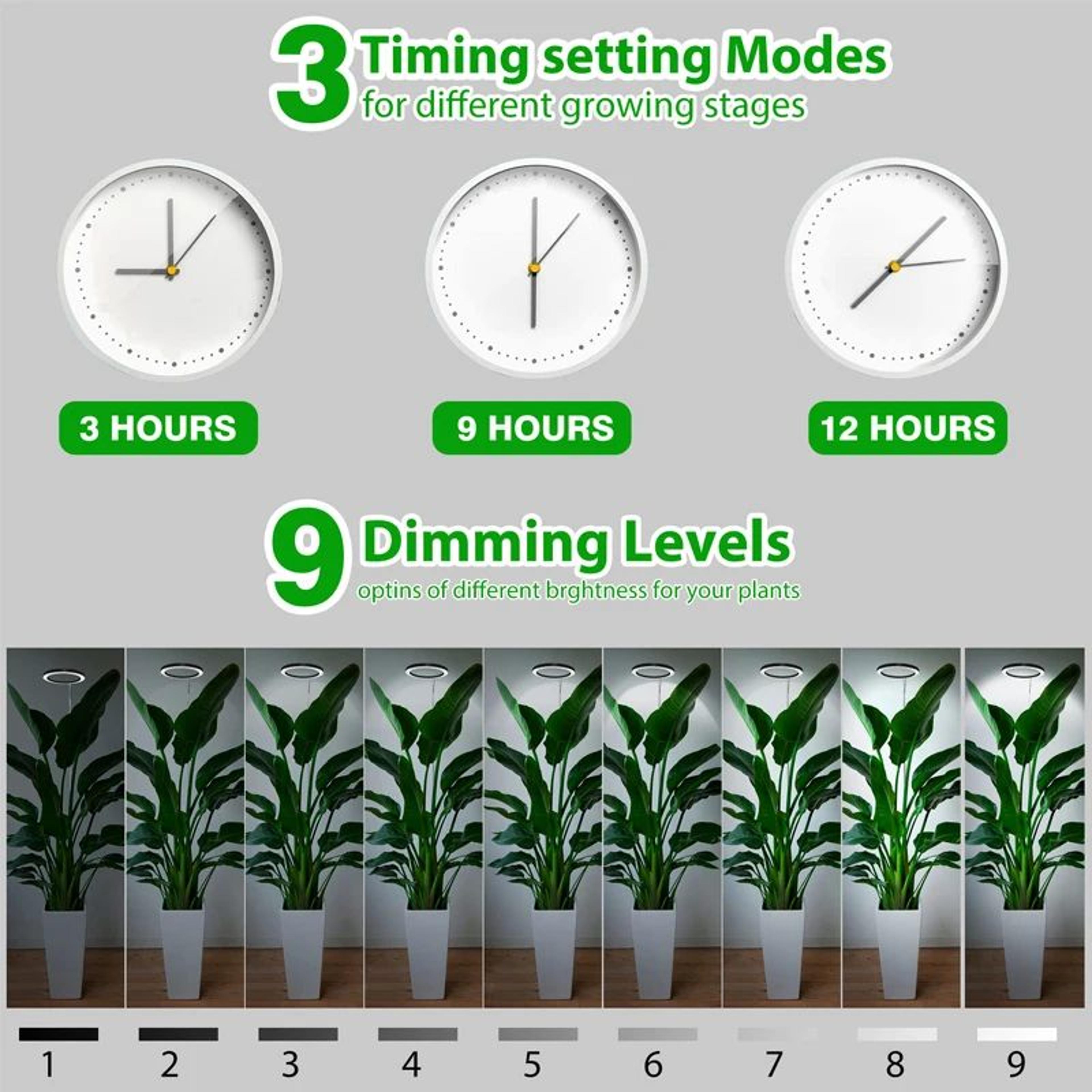 10in LED Ring Grow Light  Full Spectrum Height Adjustable Plant Lamp With Daily Timer  9 Dimming Le 4