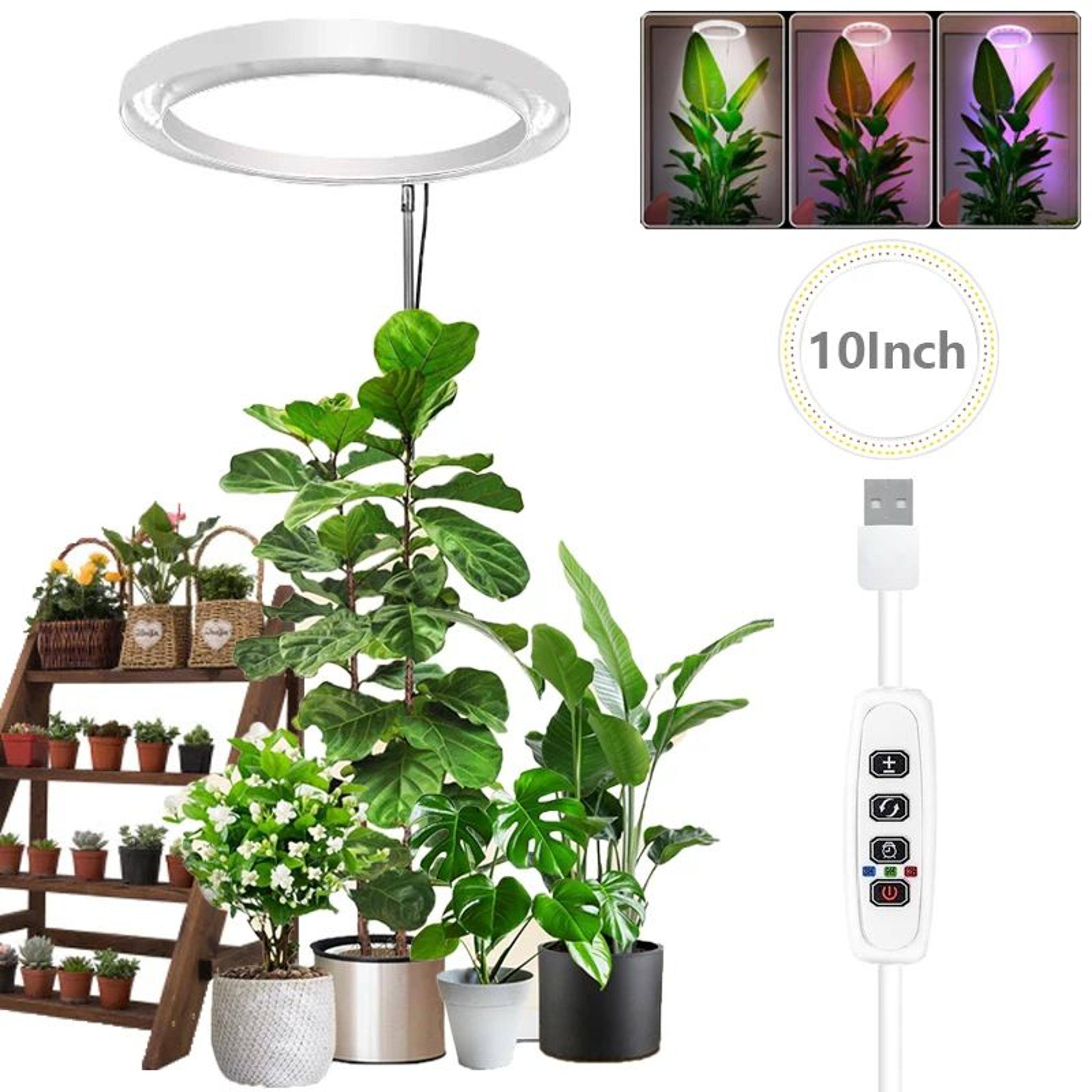 10 in led ring grow light – full spectrum height adjustable plant lamp with daily timer & 9 dimming levels for indoors