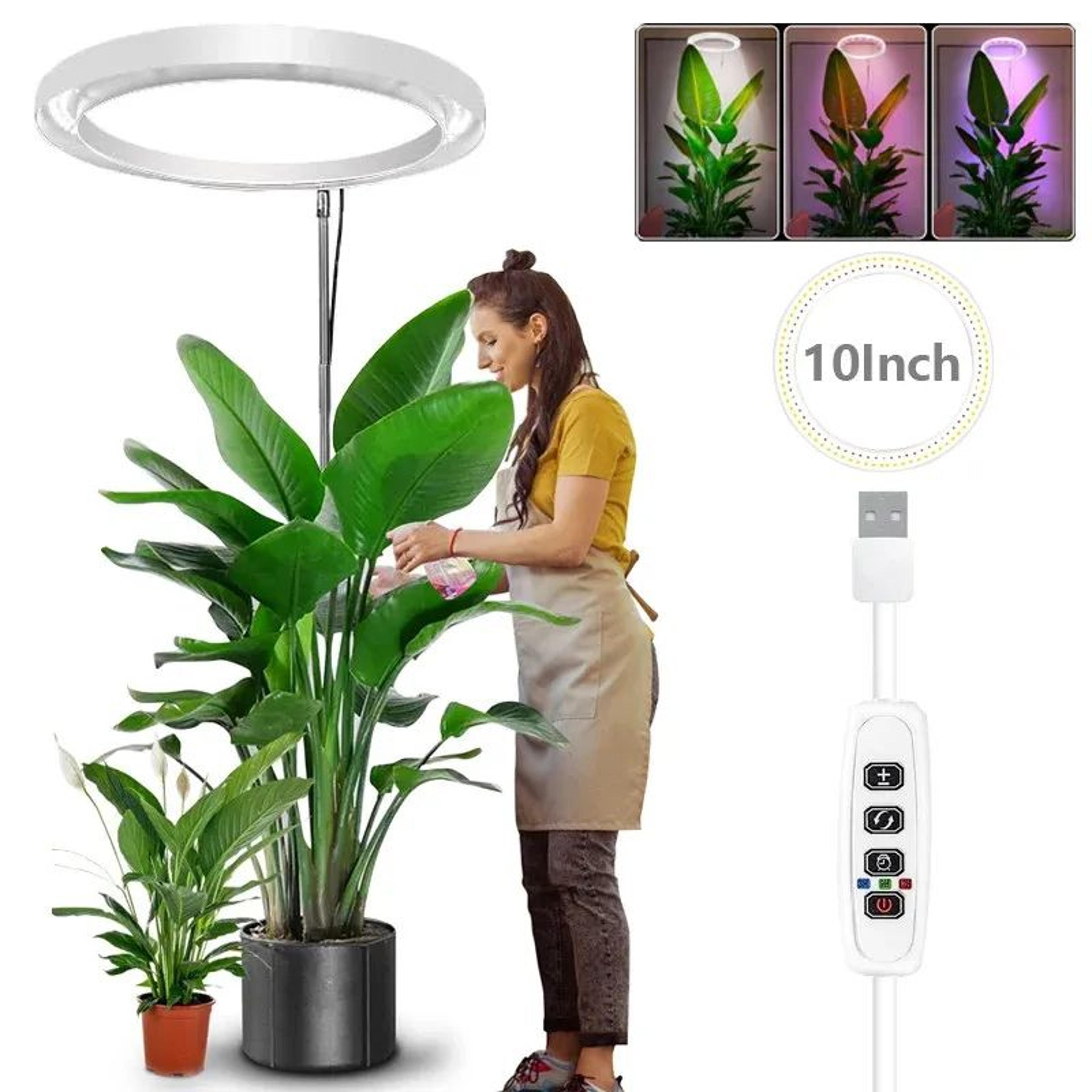 10 In LED Ring Grow Light  Full Spectrum Height Adjustable Plant Lamp With Daily Timer  9 Dimming L 7