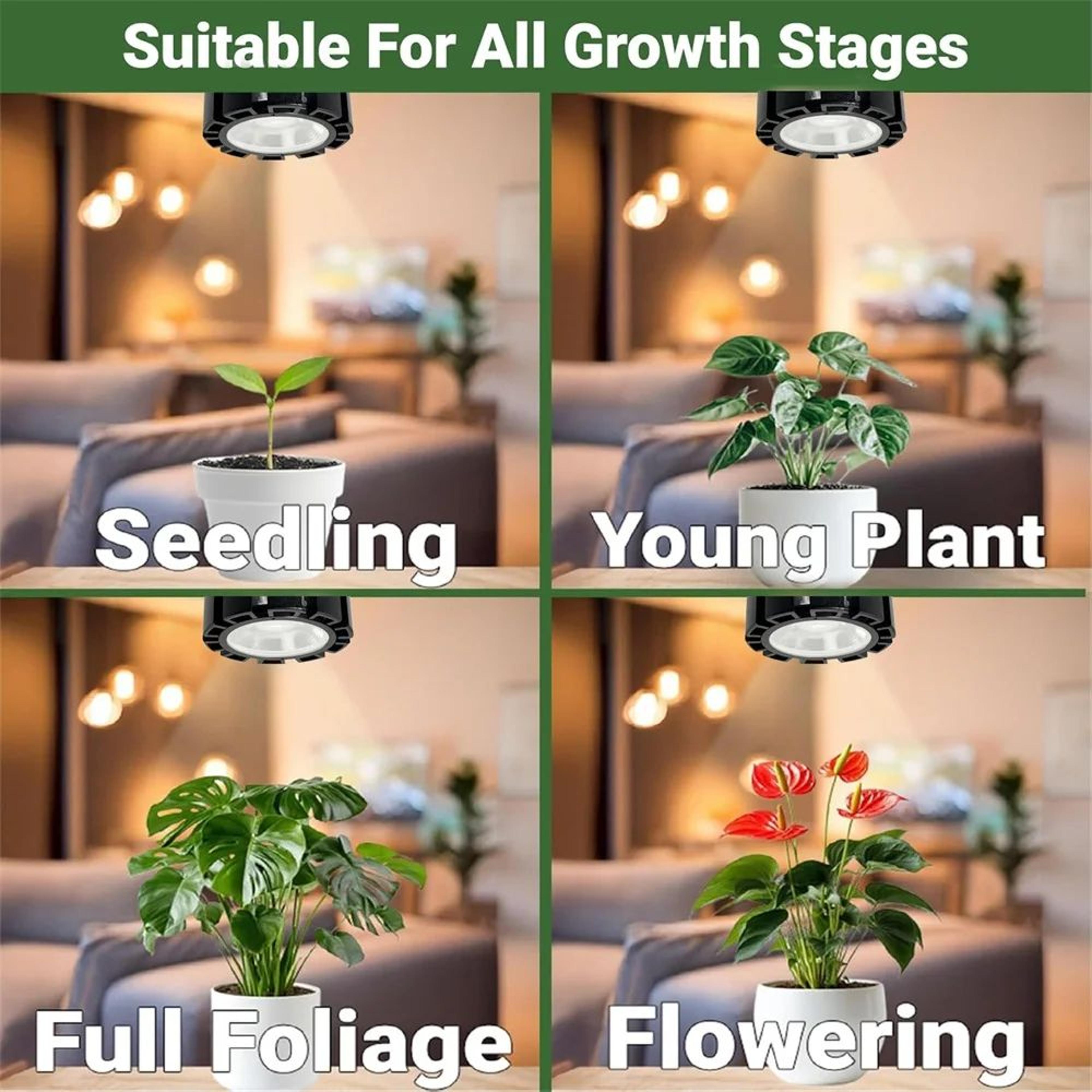 12W Full Spectrum LED Grow Bulb  E27 Dimmable Plant Light With Remote Auto Timer  Adjustable Color  5
