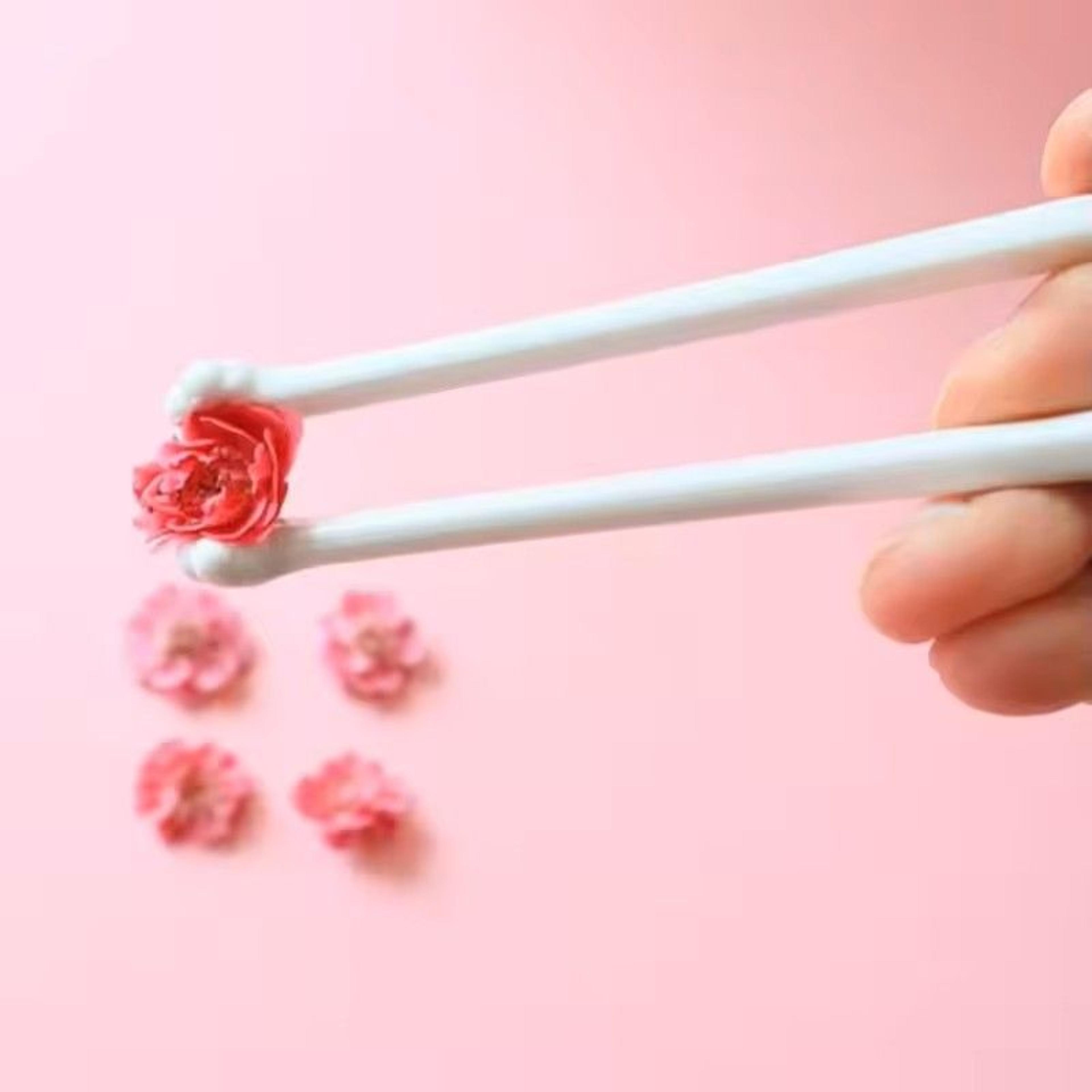 Cat Paw Kids Training Chopsticks Baby Beginner Learning Helper Easy Use Kitchen Tool 4