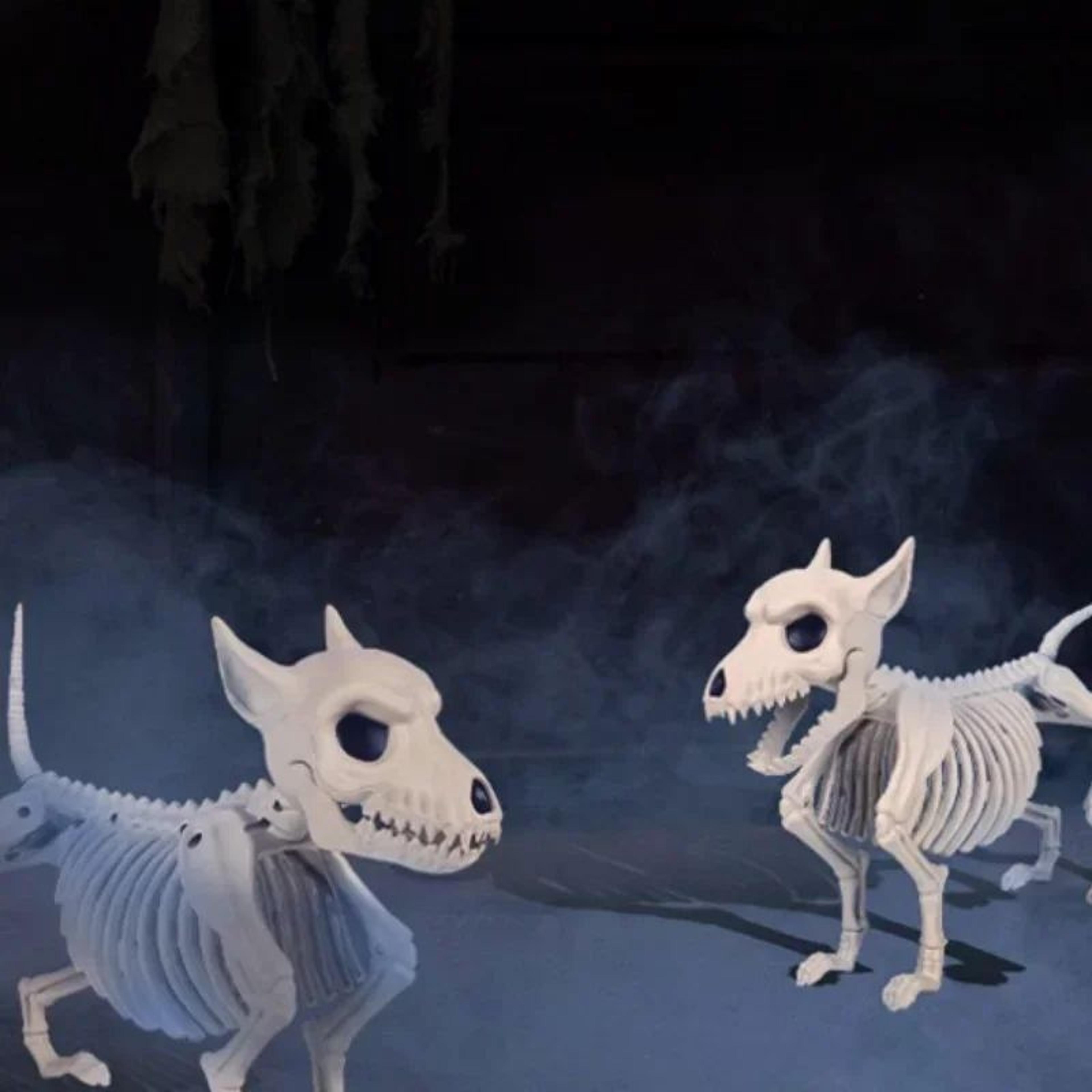 Halloween Little Wolf Skeleton Decoration  Creative IndoorOutdoor Animal Skeleton Home  Garden Orna 1