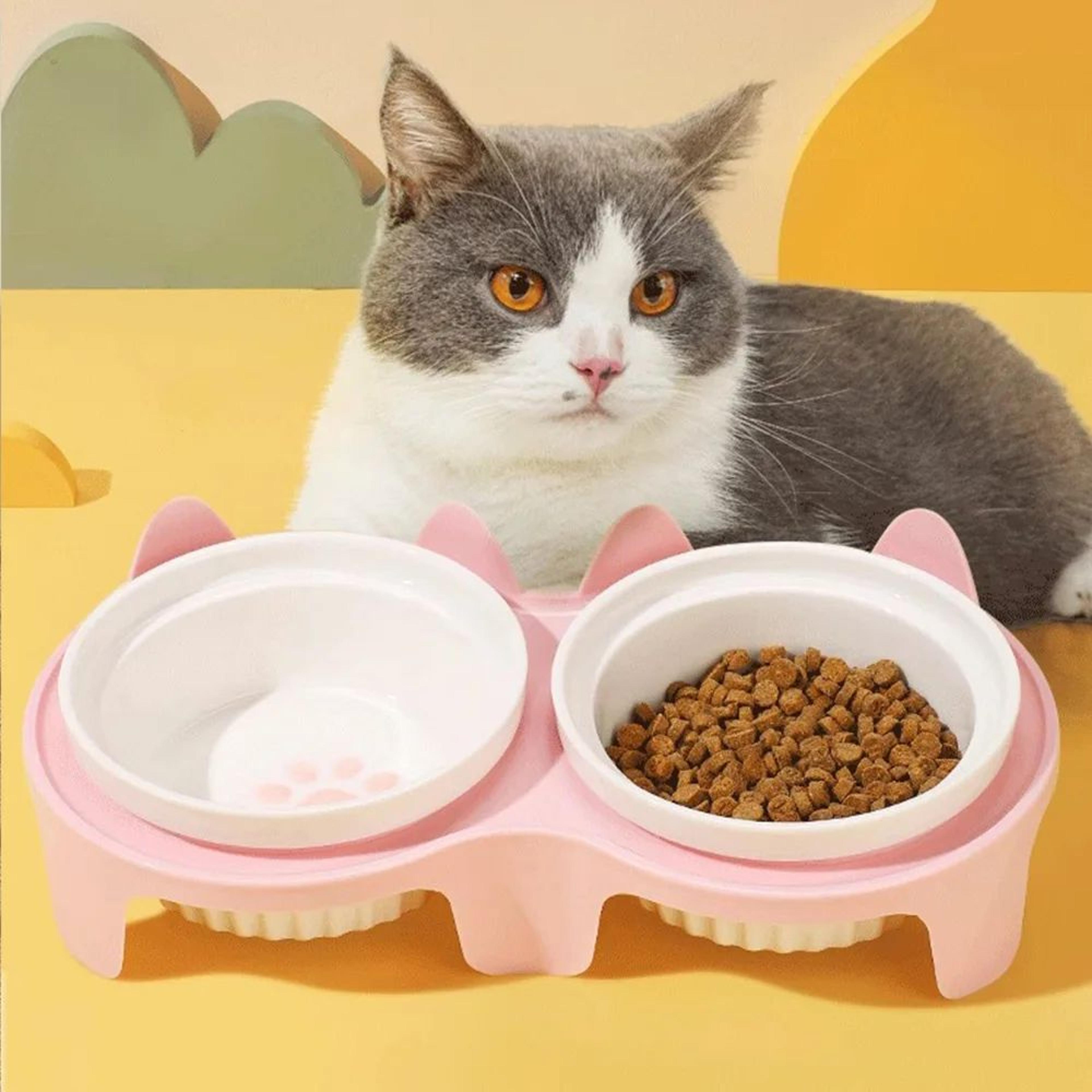ceramic tilted double pet bowl set