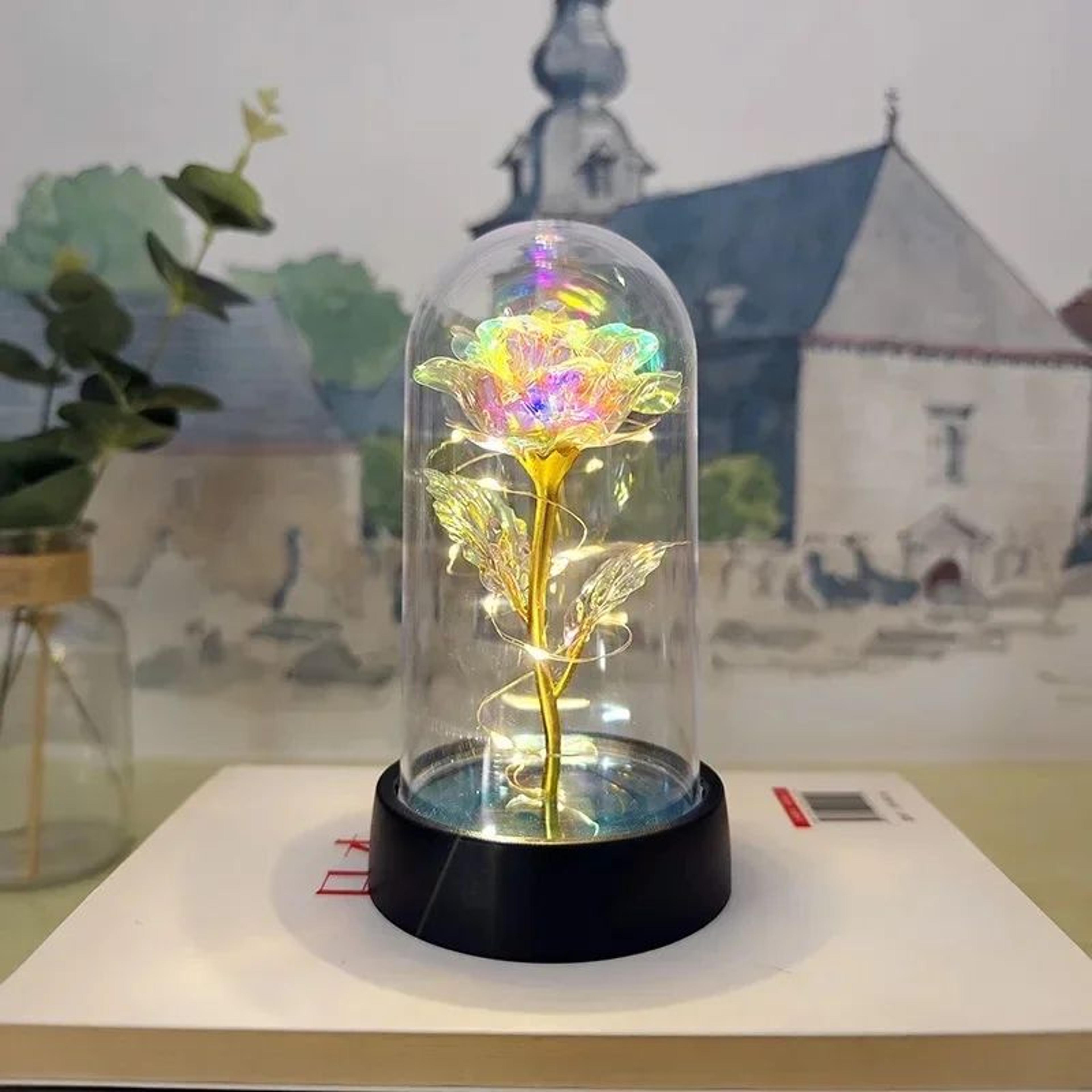 Eternal LED Rose Flower Gift 11