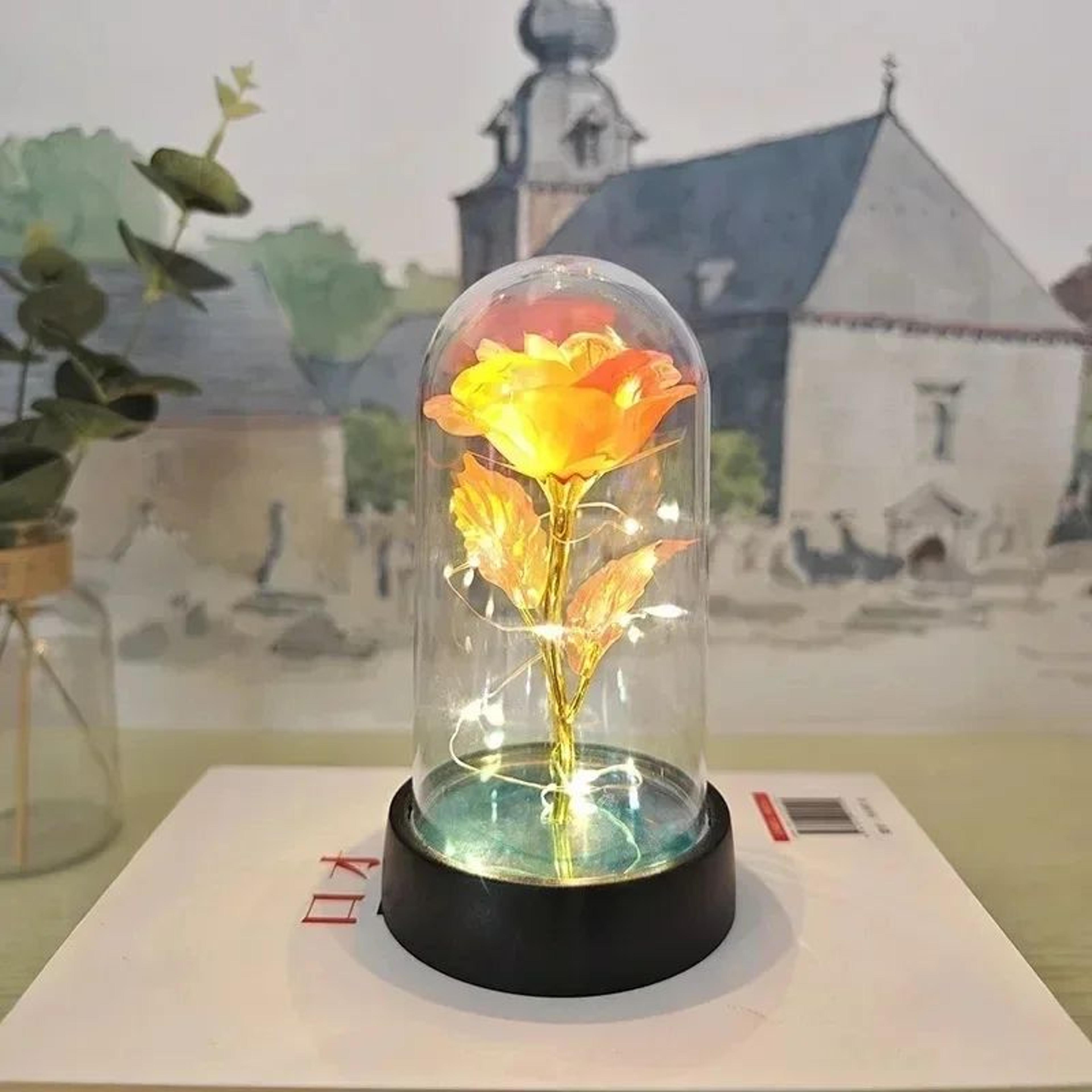 Eternal LED Rose Flower Gift 12
