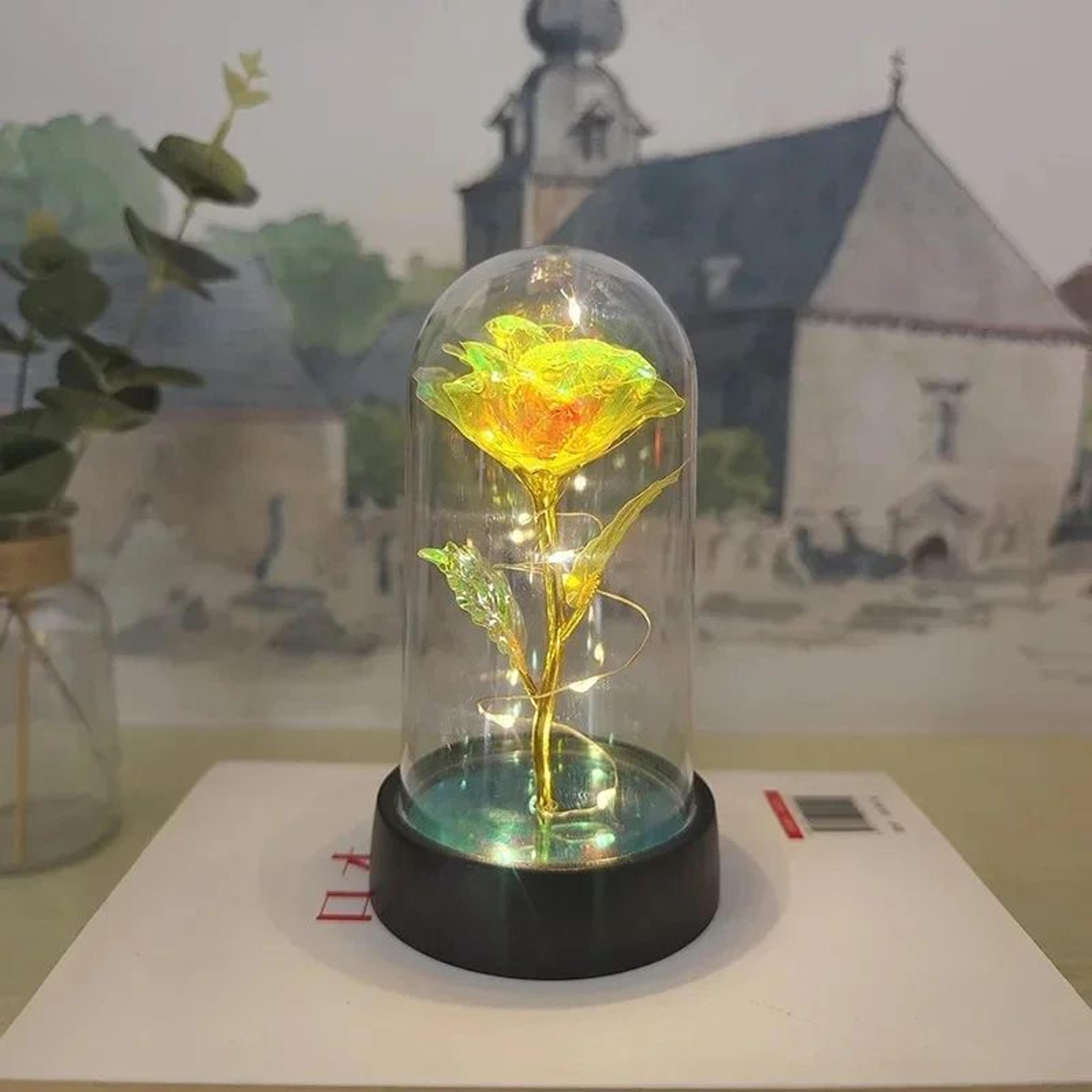 Eternal LED Rose Flower Gift 13