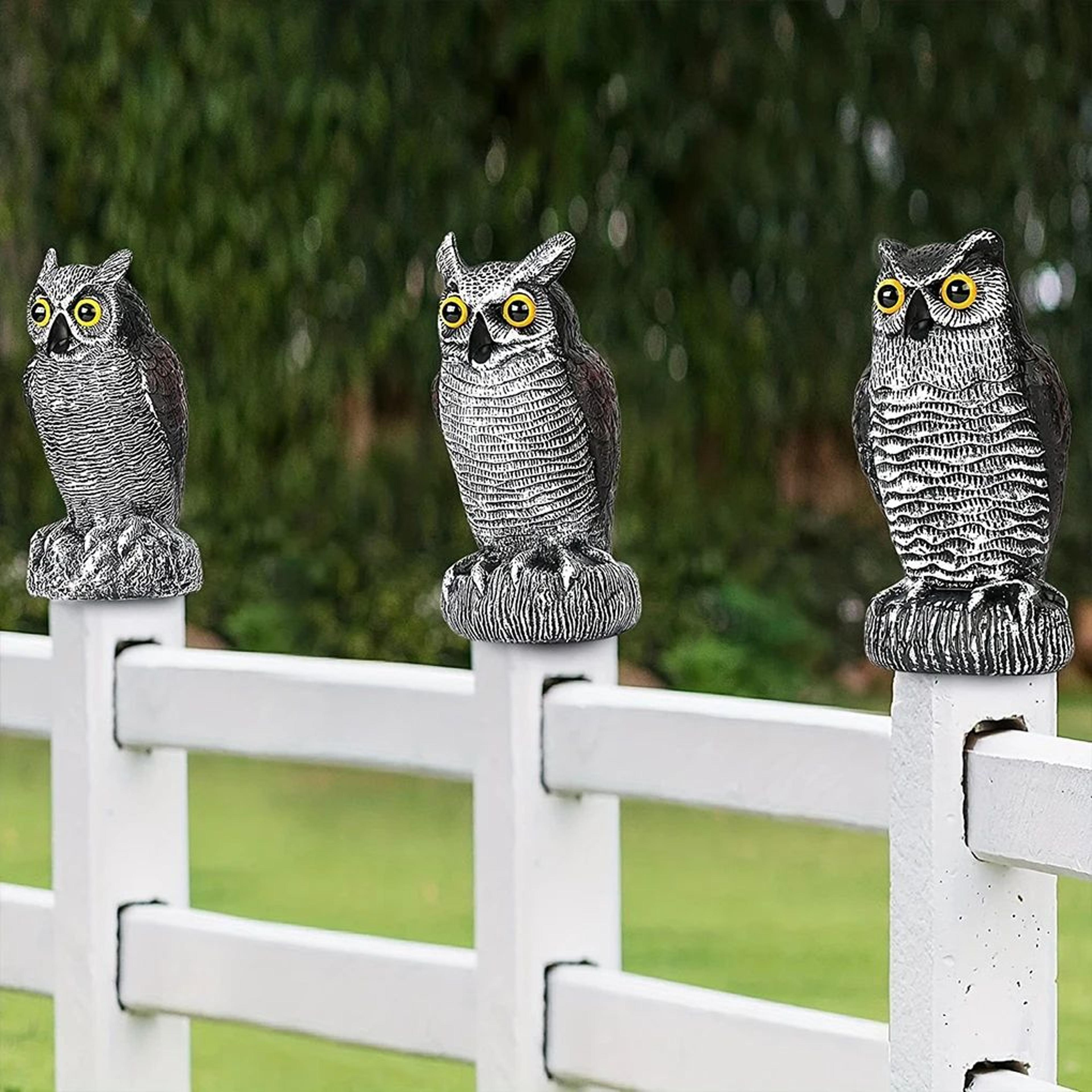 Solar Owl Bird Scare Decoy 3