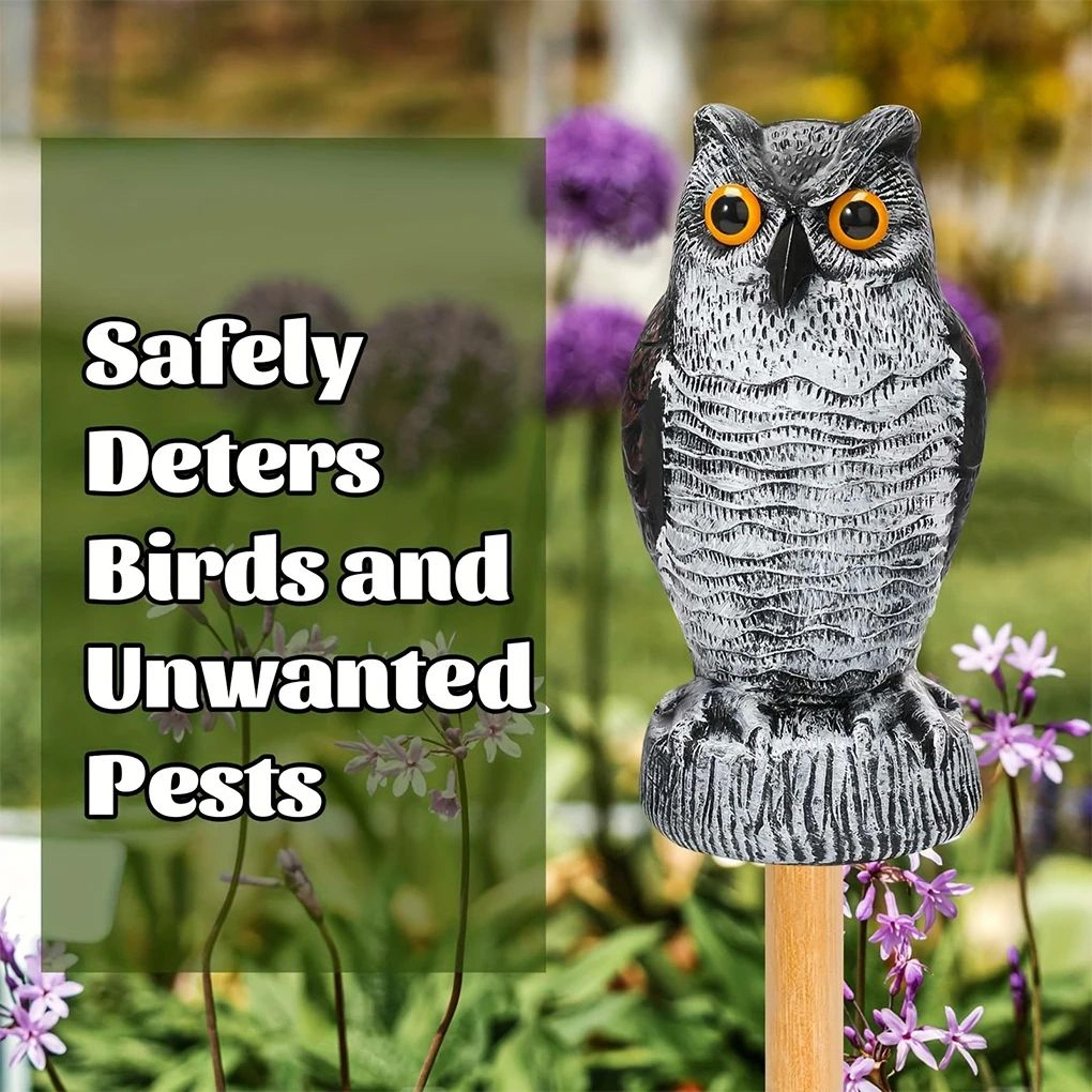 Solar Owl Bird Scare Decoy 4
