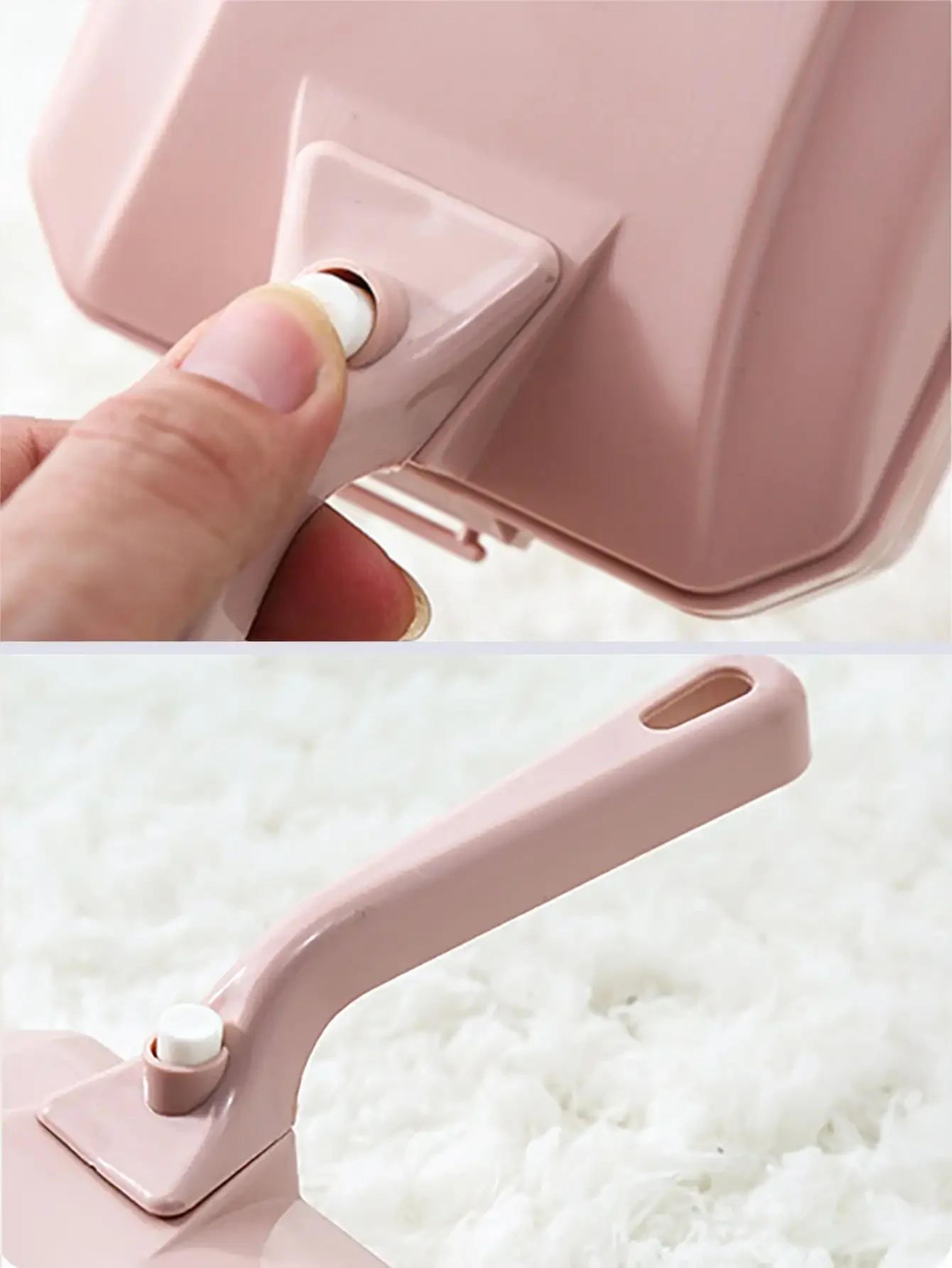 Handheld Carpet And Pet Hair Cleaning Brush 1