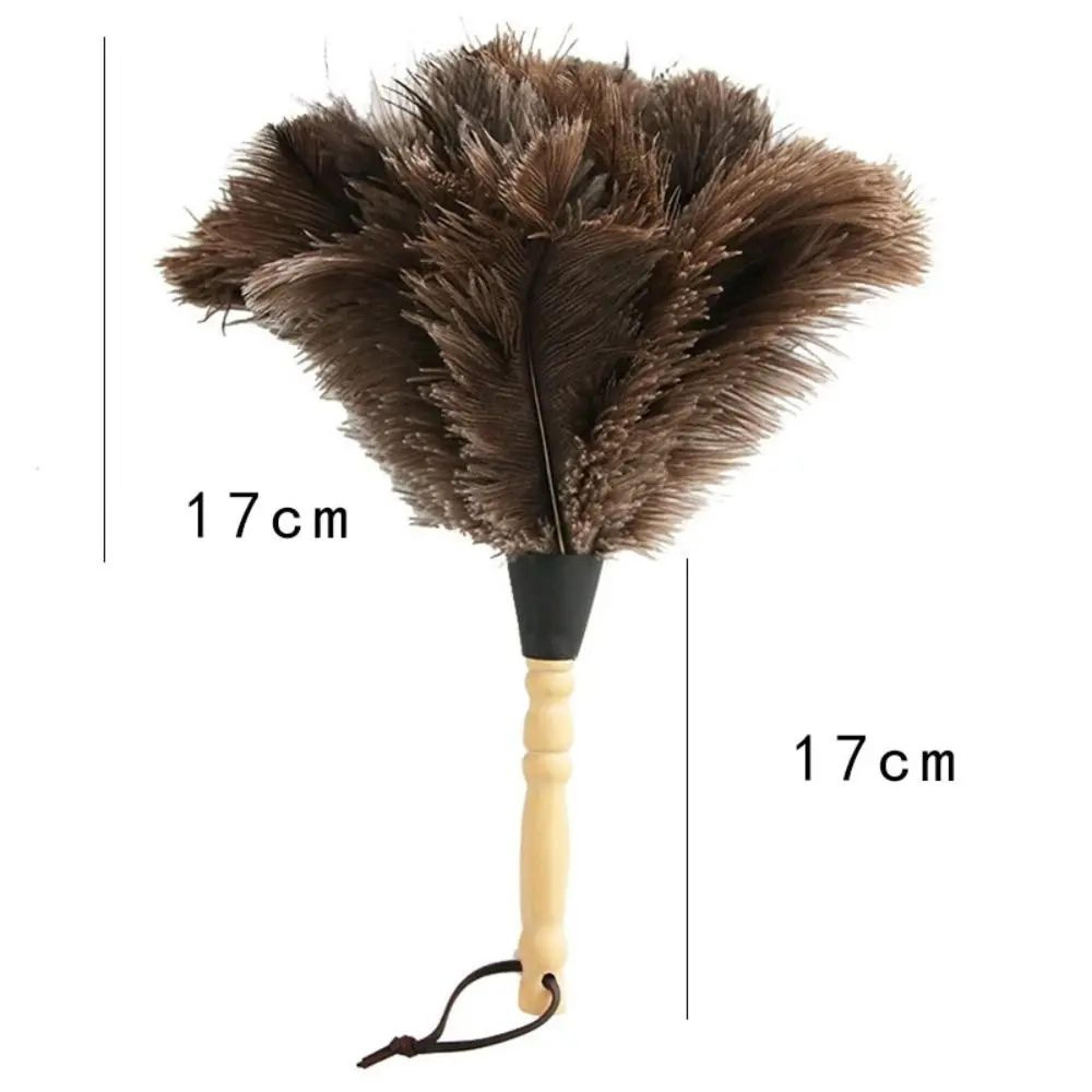 Ostrich Feather Duster Wooden Handle Household Cleaner 5
