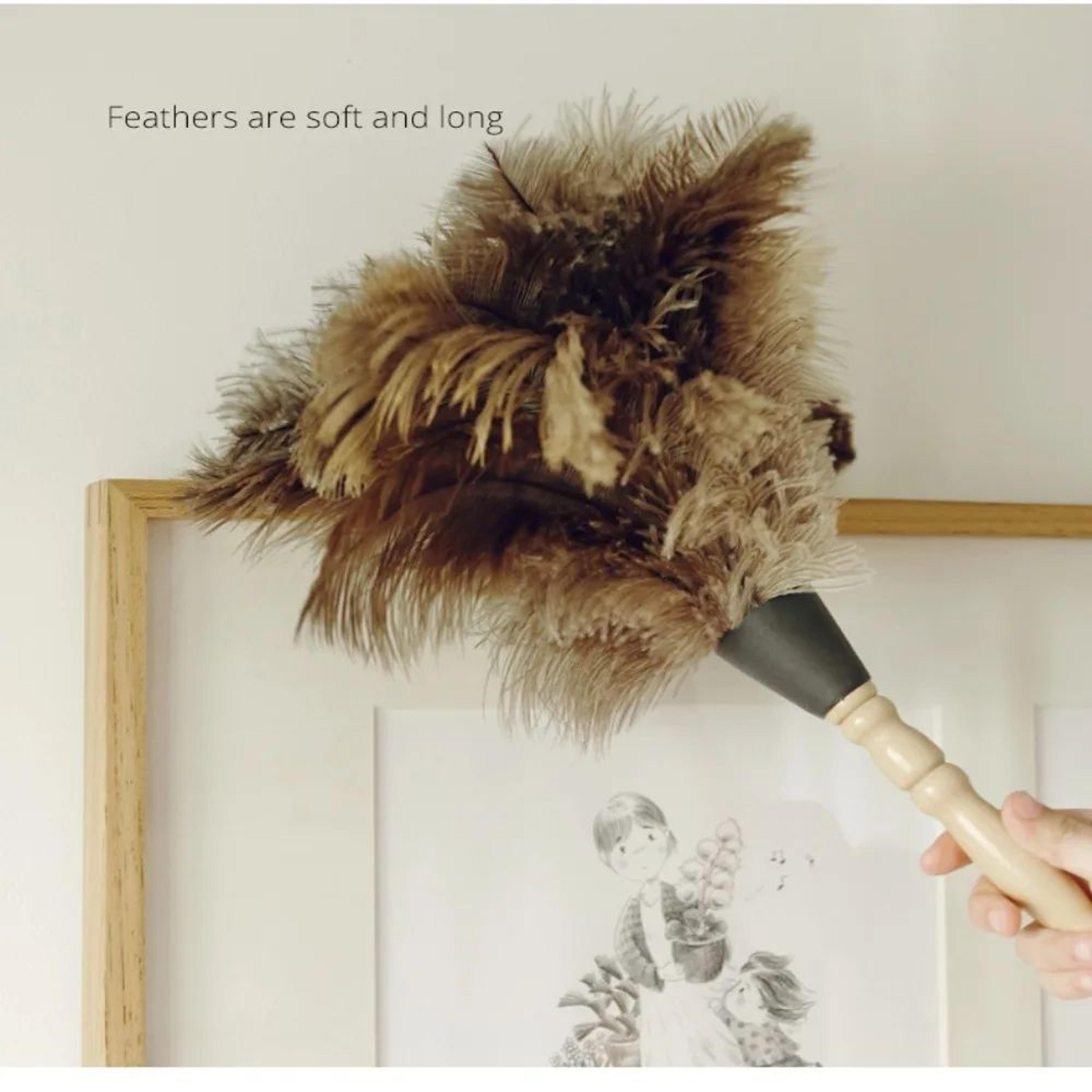 Ostrich Feather Duster Wooden Handle Household Cleaner 12
