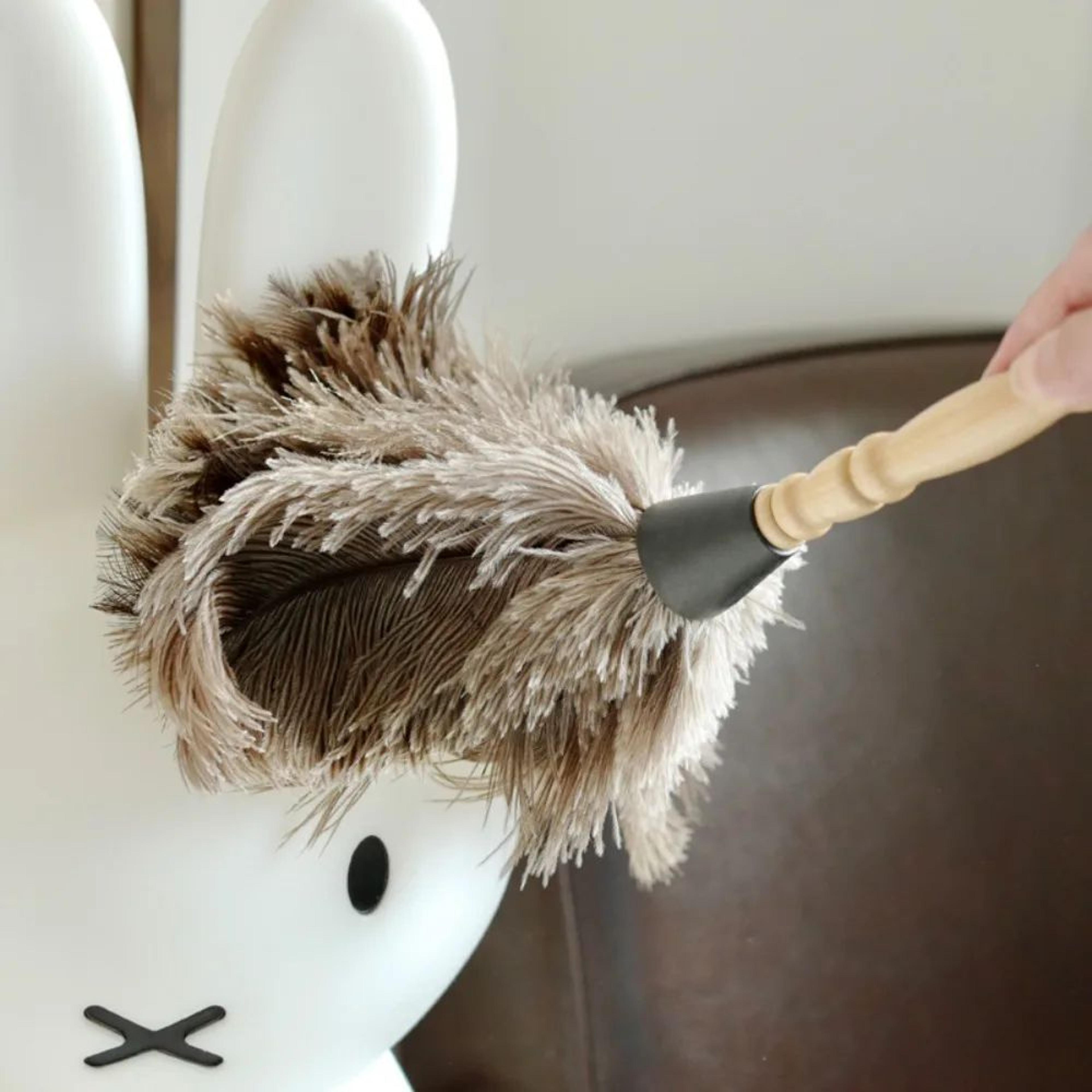 Ostrich Feather Duster Wooden Handle Household Cleaner 13