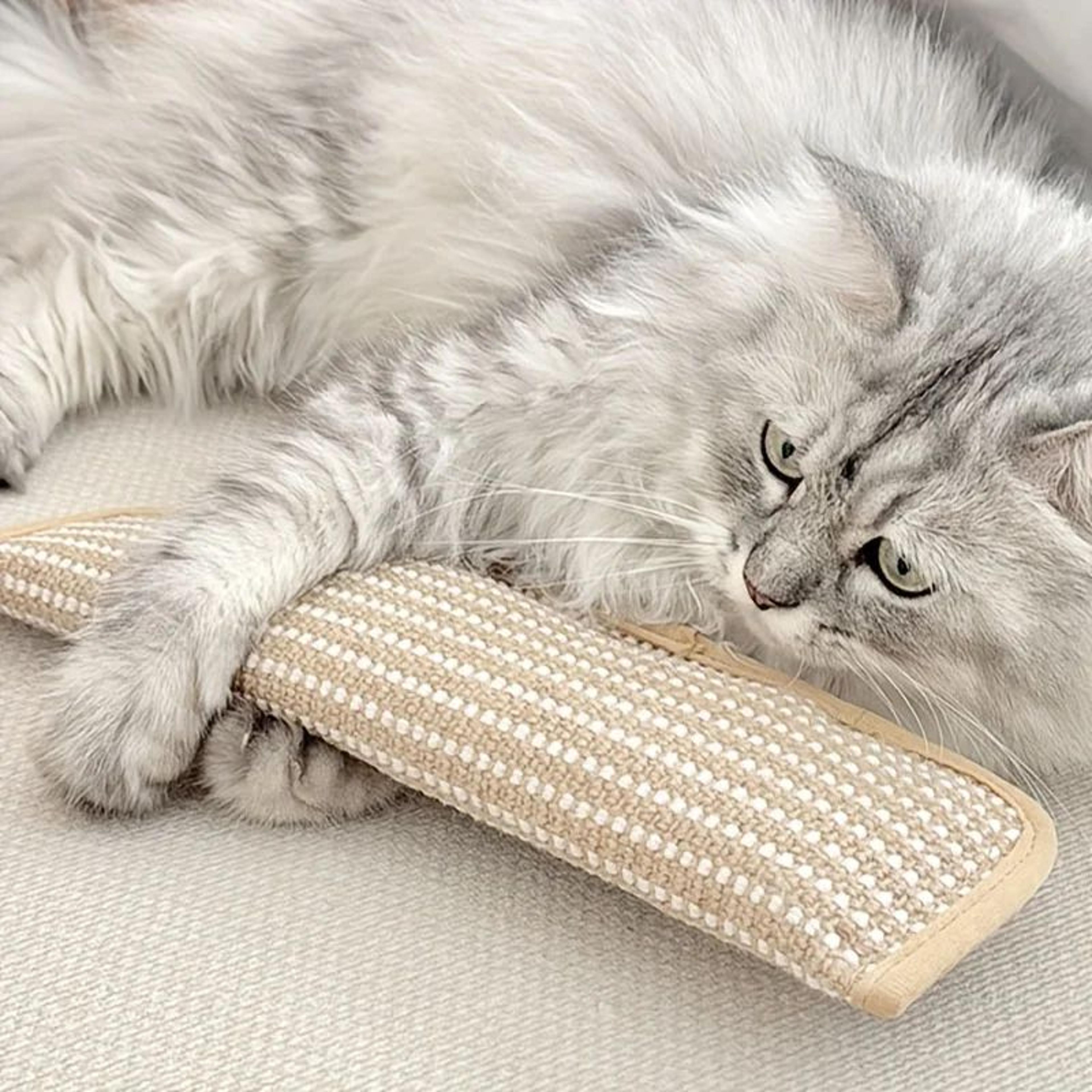 Sisal Cat Scratching Pad Bed With Cushion Non Slip Base 2