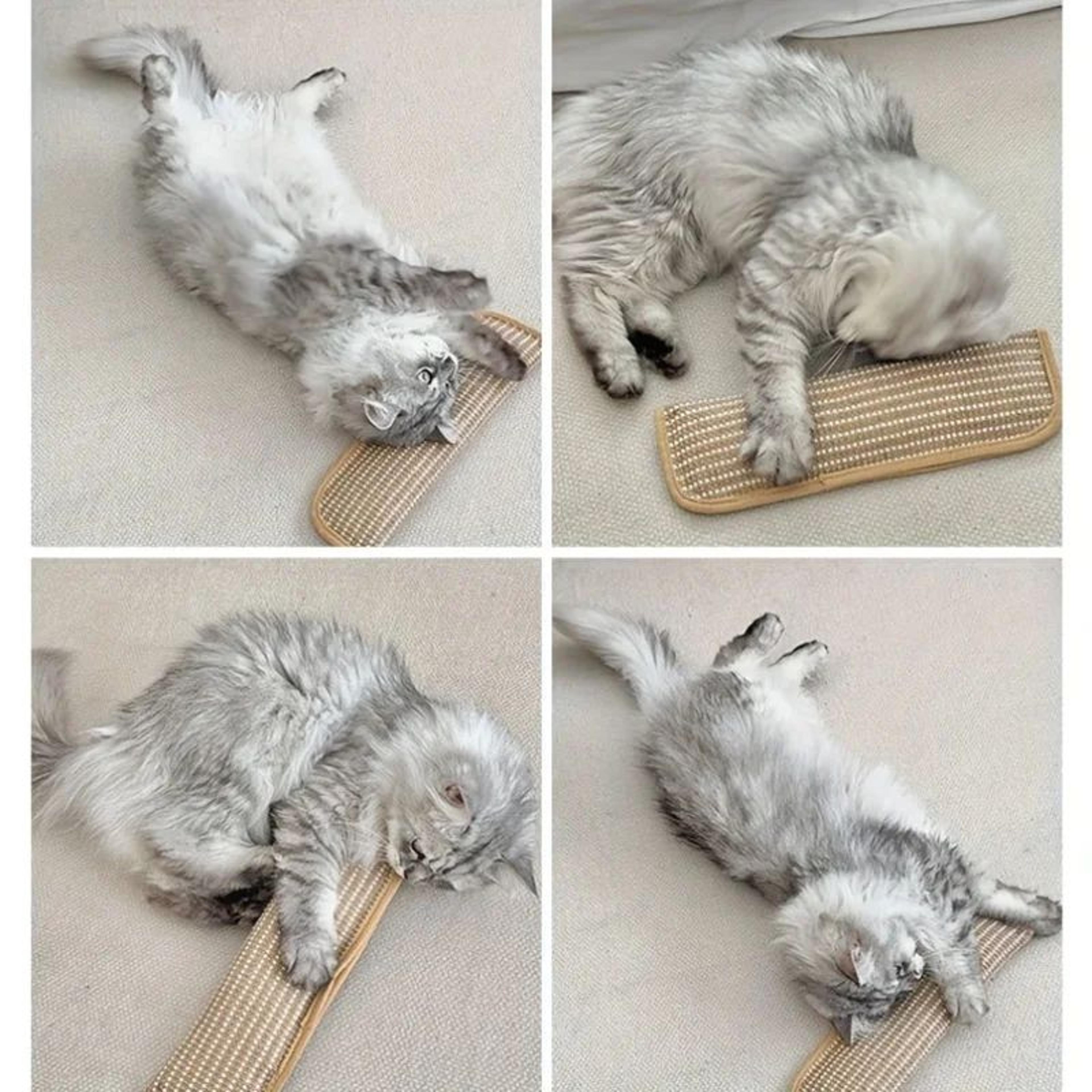 Sisal Cat Scratching Pad Bed With Cushion Non Slip Base 6