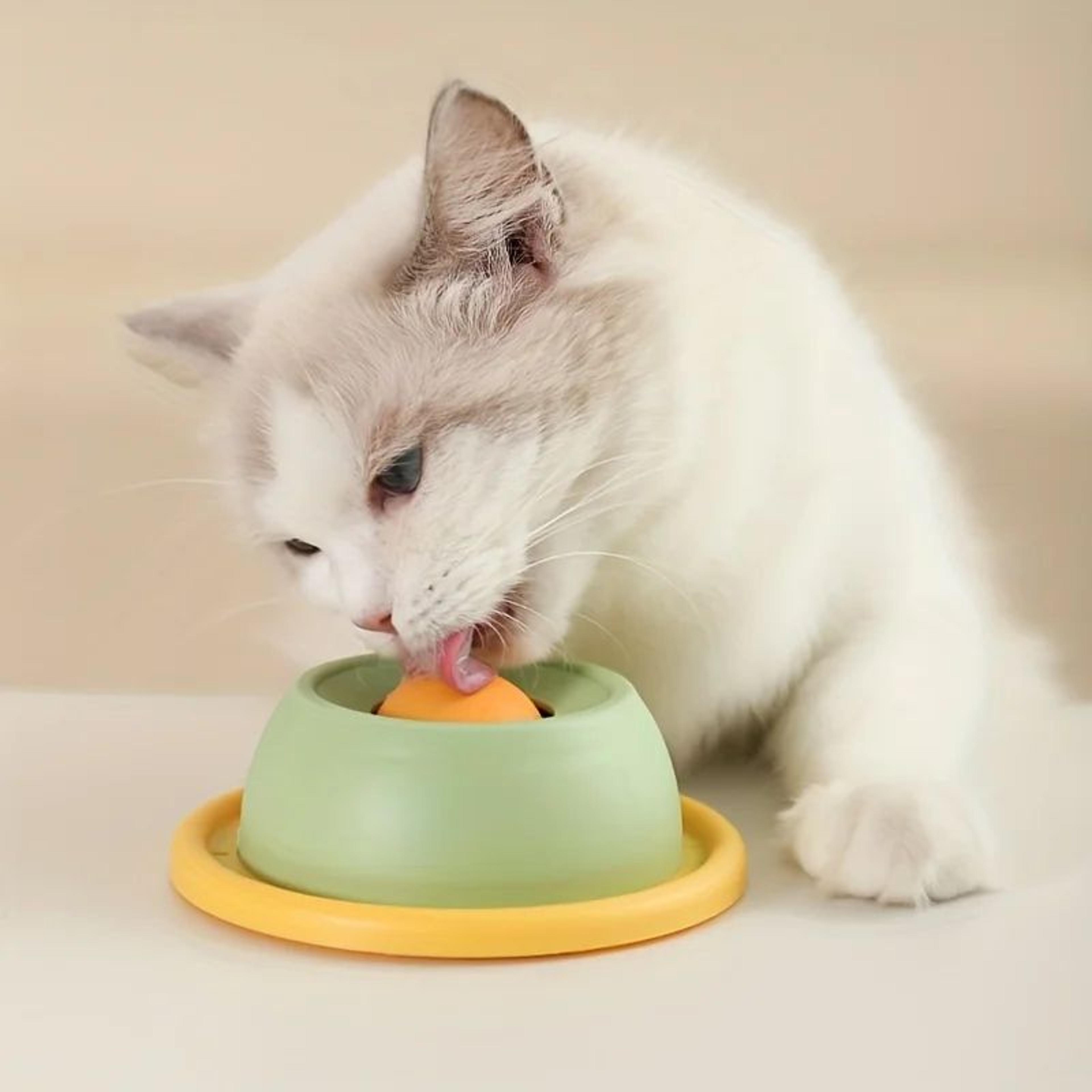 Interactive Cat Slow Feeder Toy Non Tipping Snack Plate 3