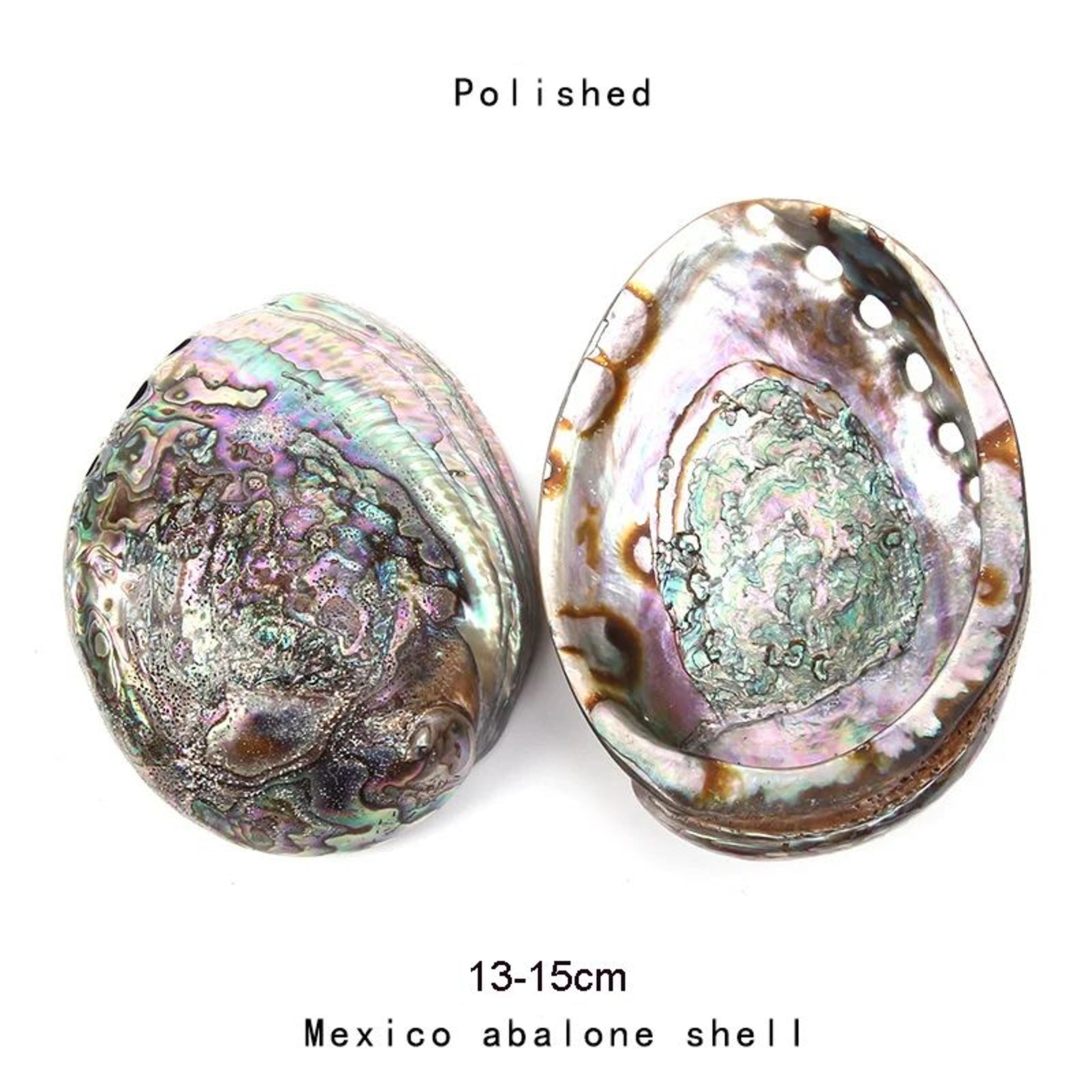 Natural Paua Abalone Shell Smudge Kit With Stand 8
